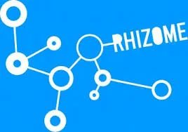 Image numéro 1 du carousel