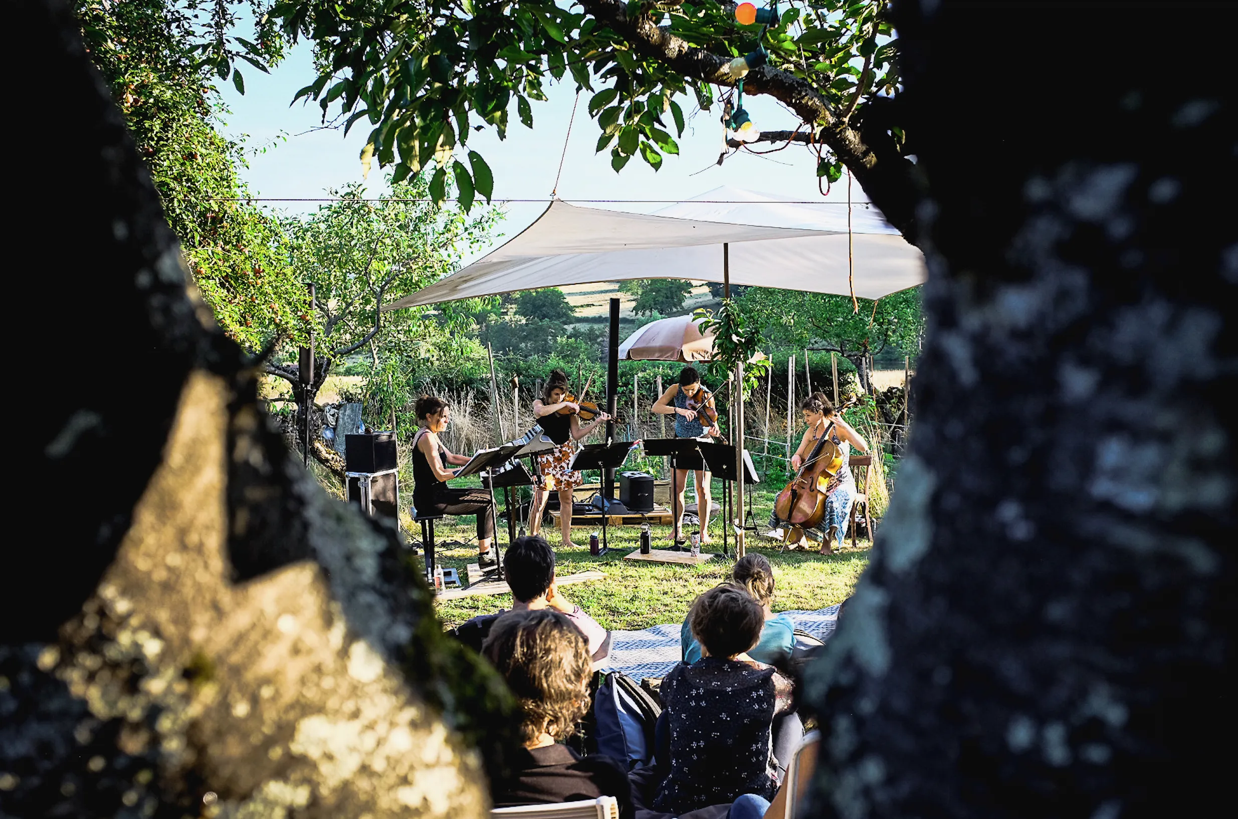 Image numéro 2 du carousel