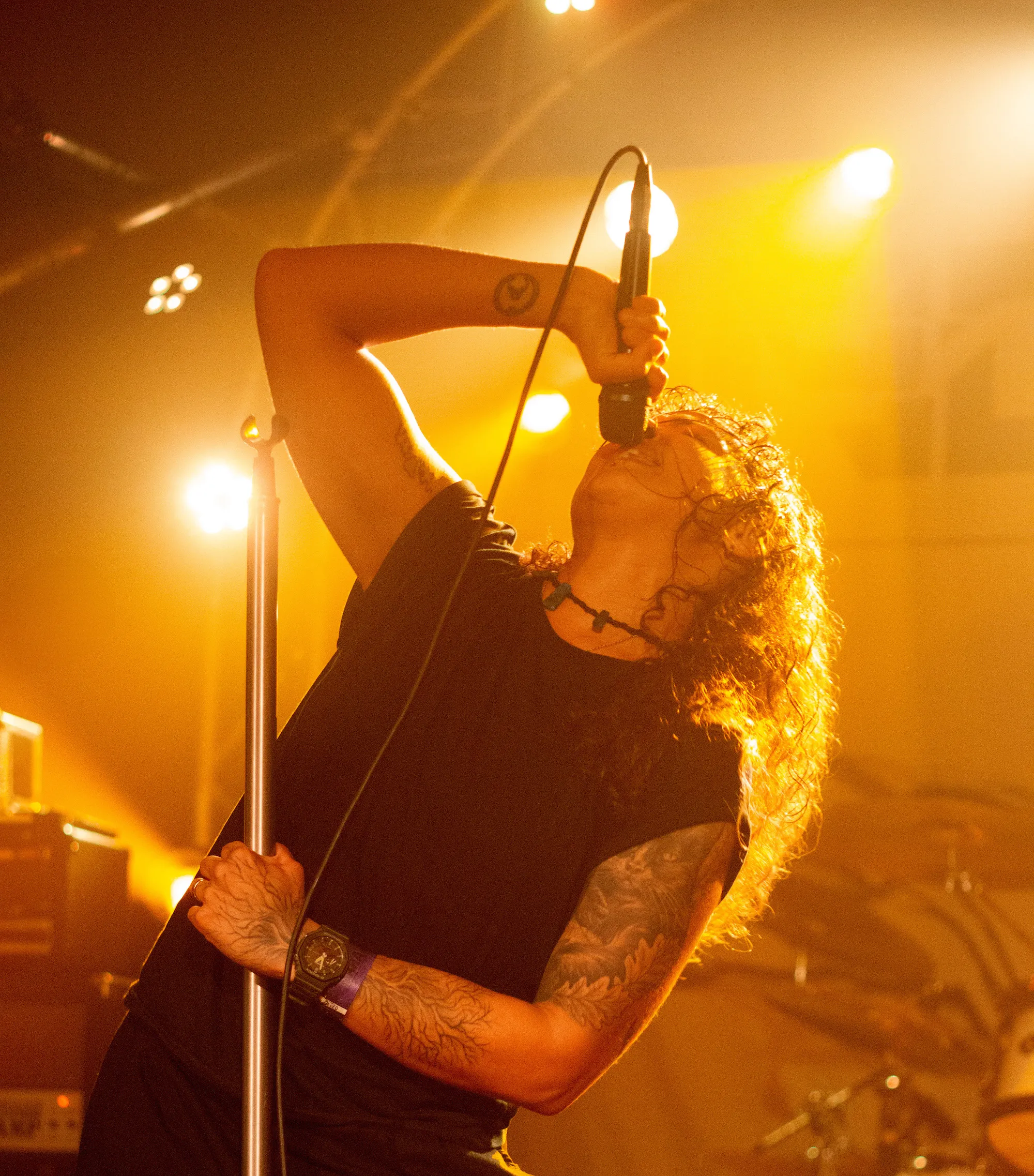 Image numéro 1 du carousel