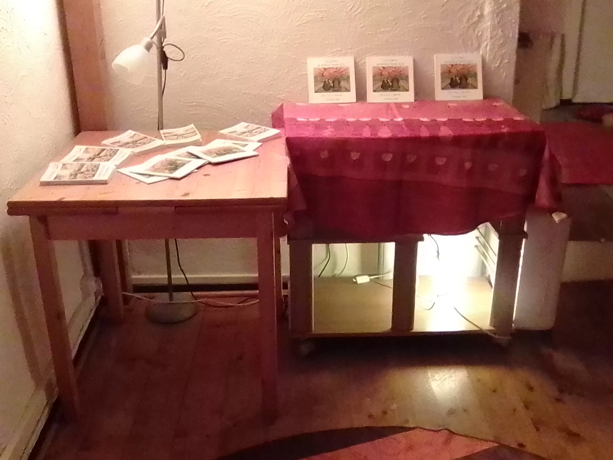 Image numéro 3 du carousel