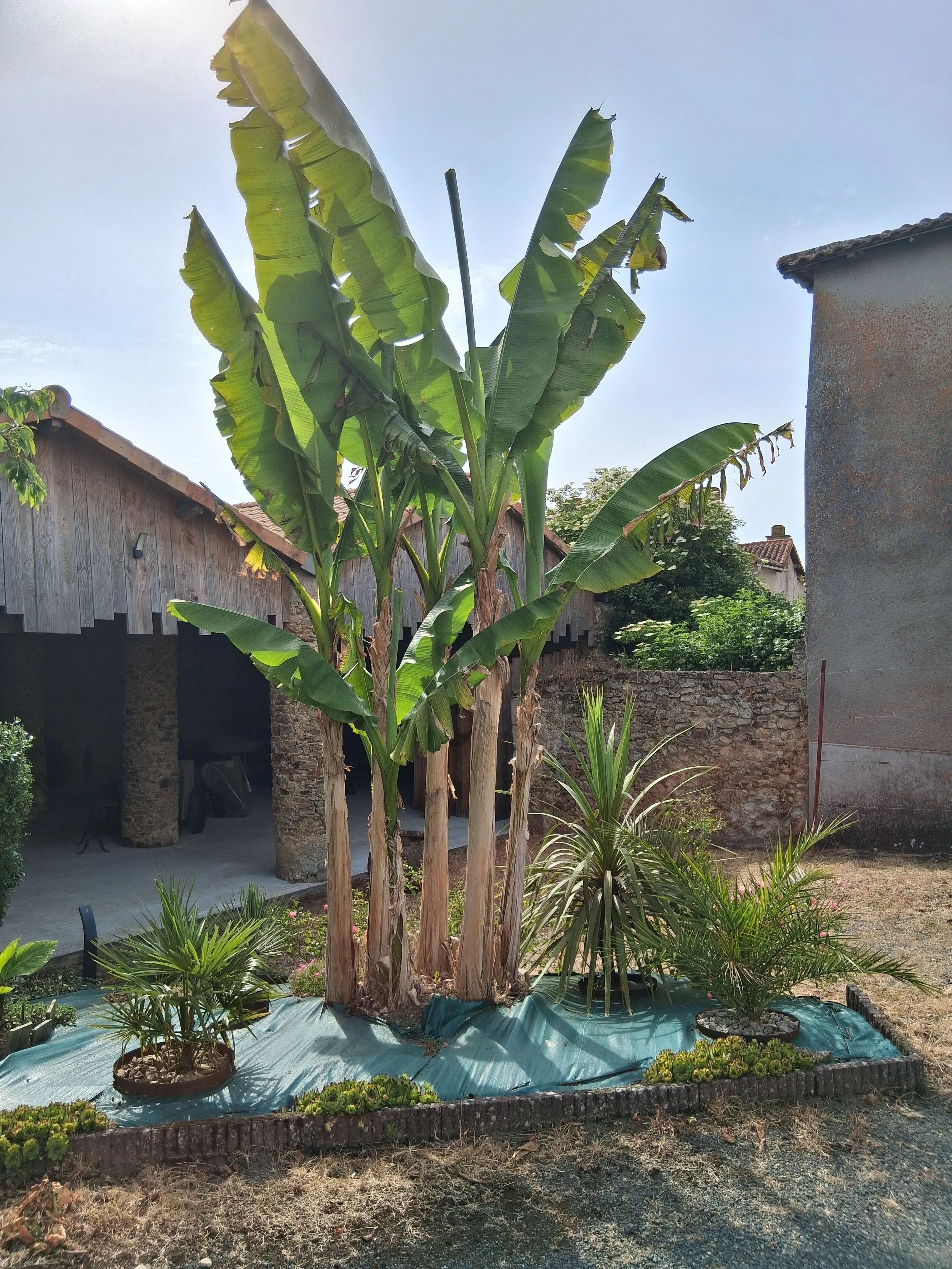 Image numéro 2 du carousel