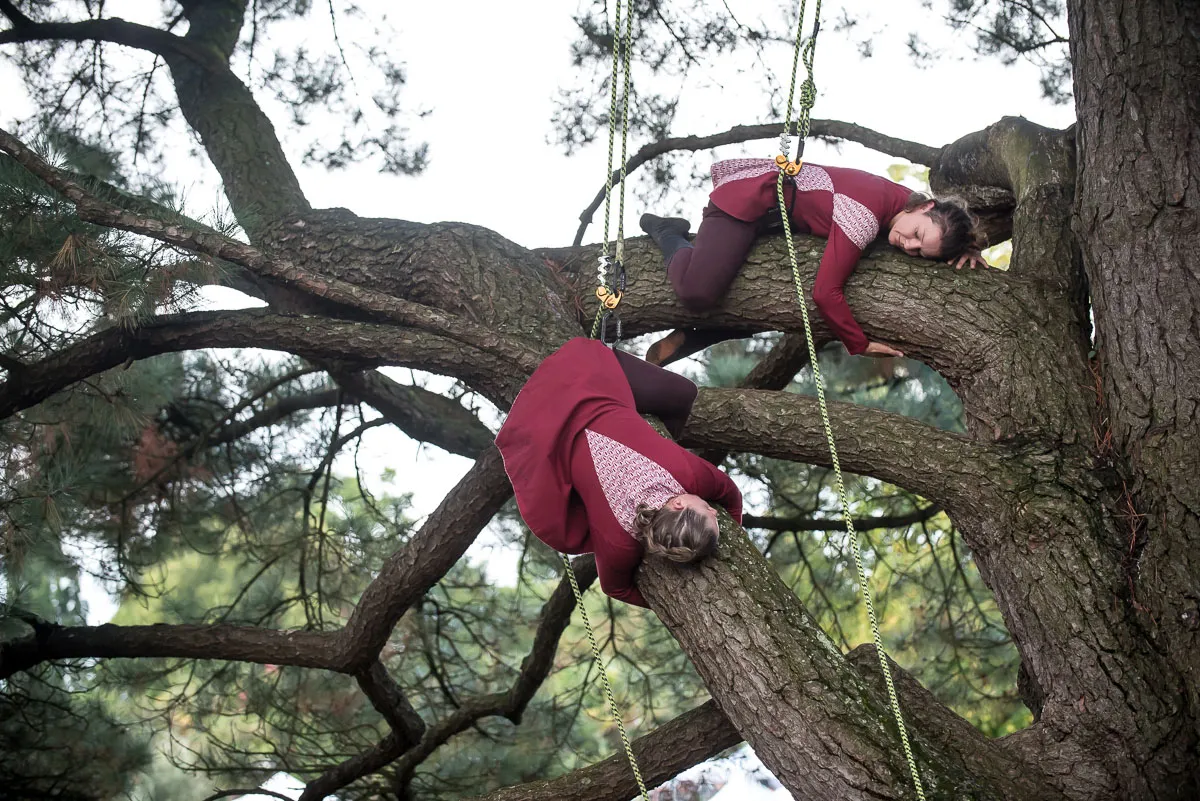 Image numéro 1 du carousel