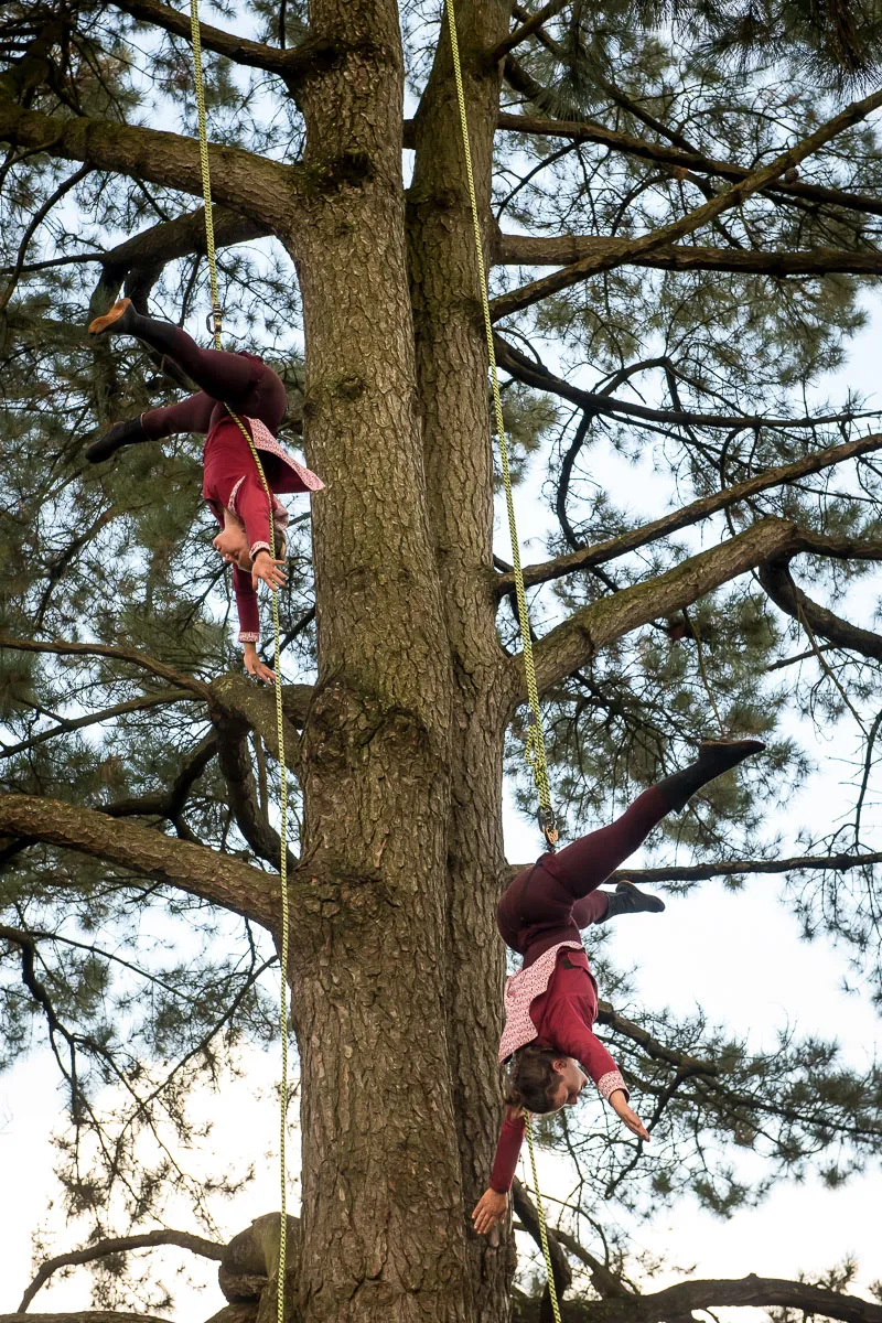 Image numéro 2 du carousel