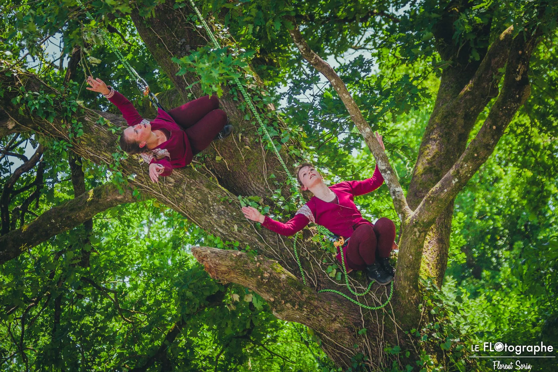 Image numéro 3 du carousel