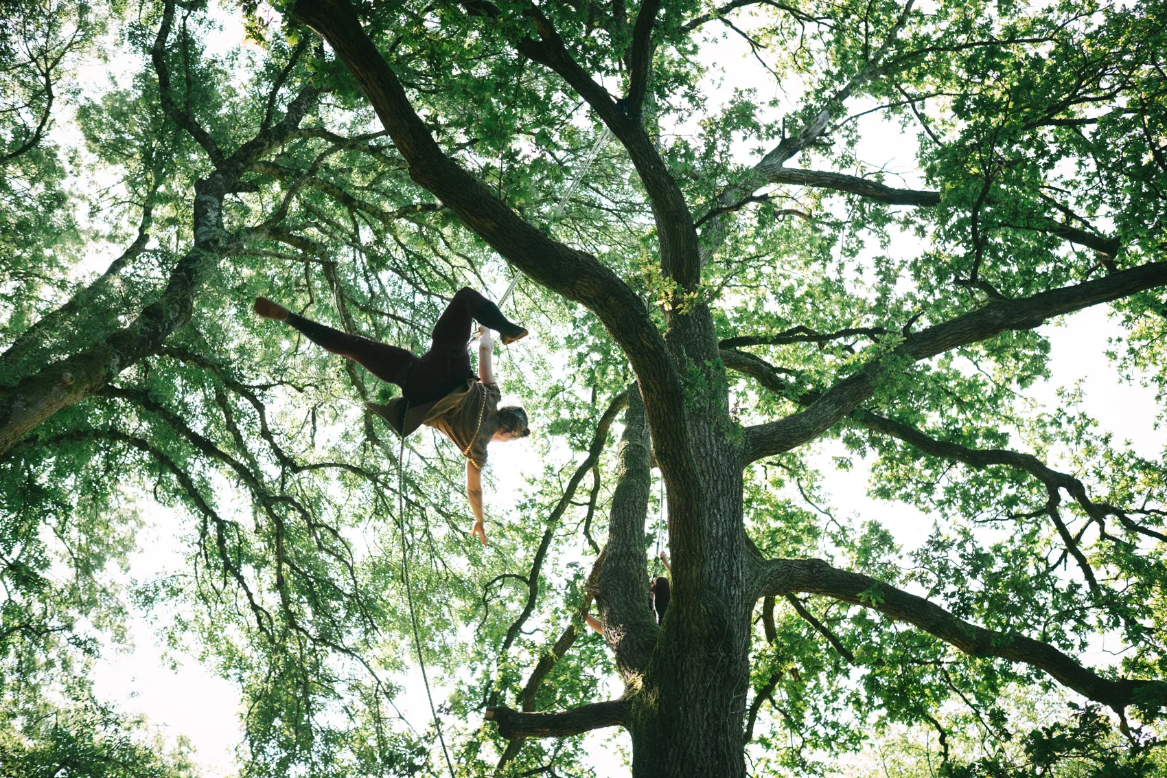 Image numéro 4 du carousel