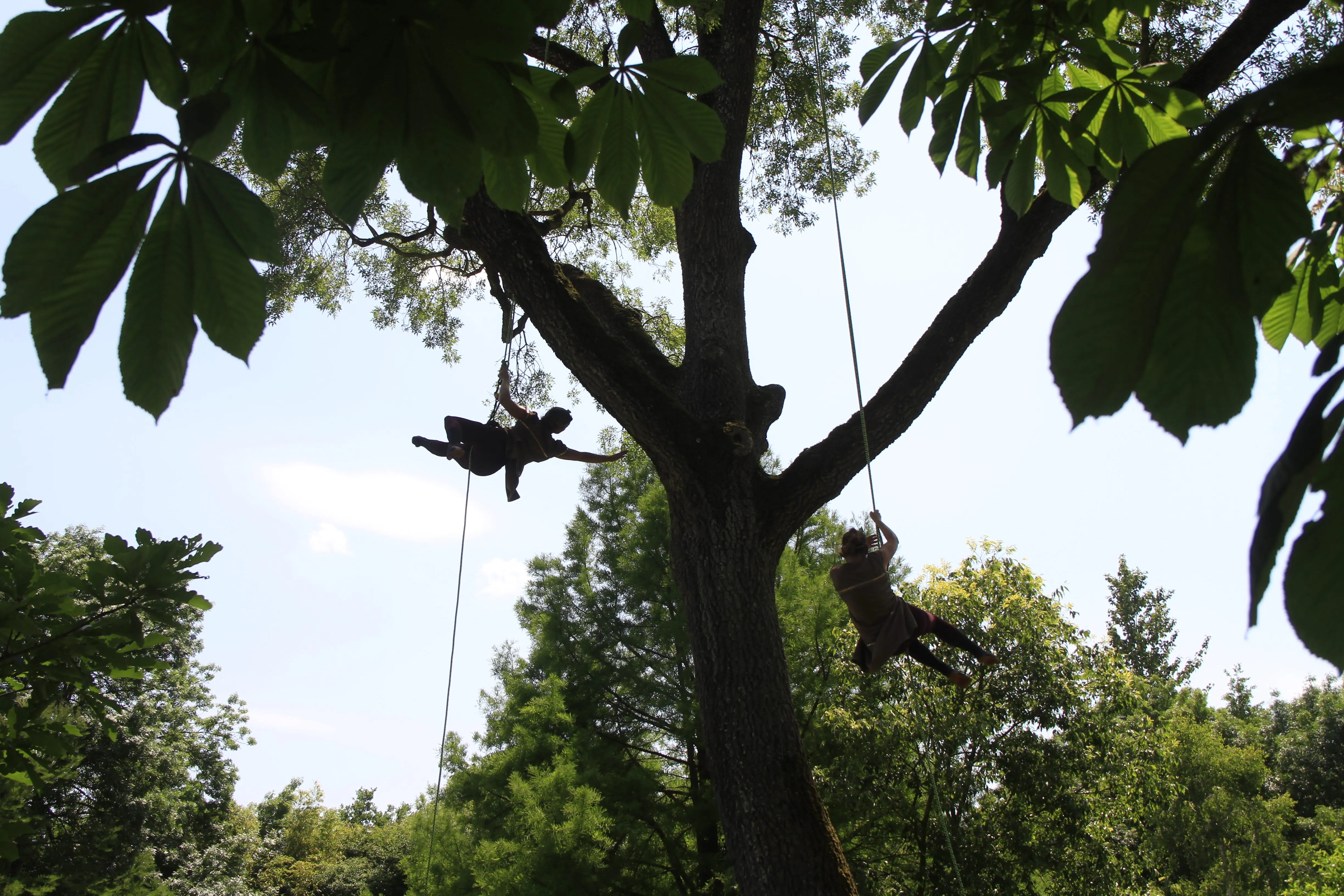 Image numéro 5 du carousel