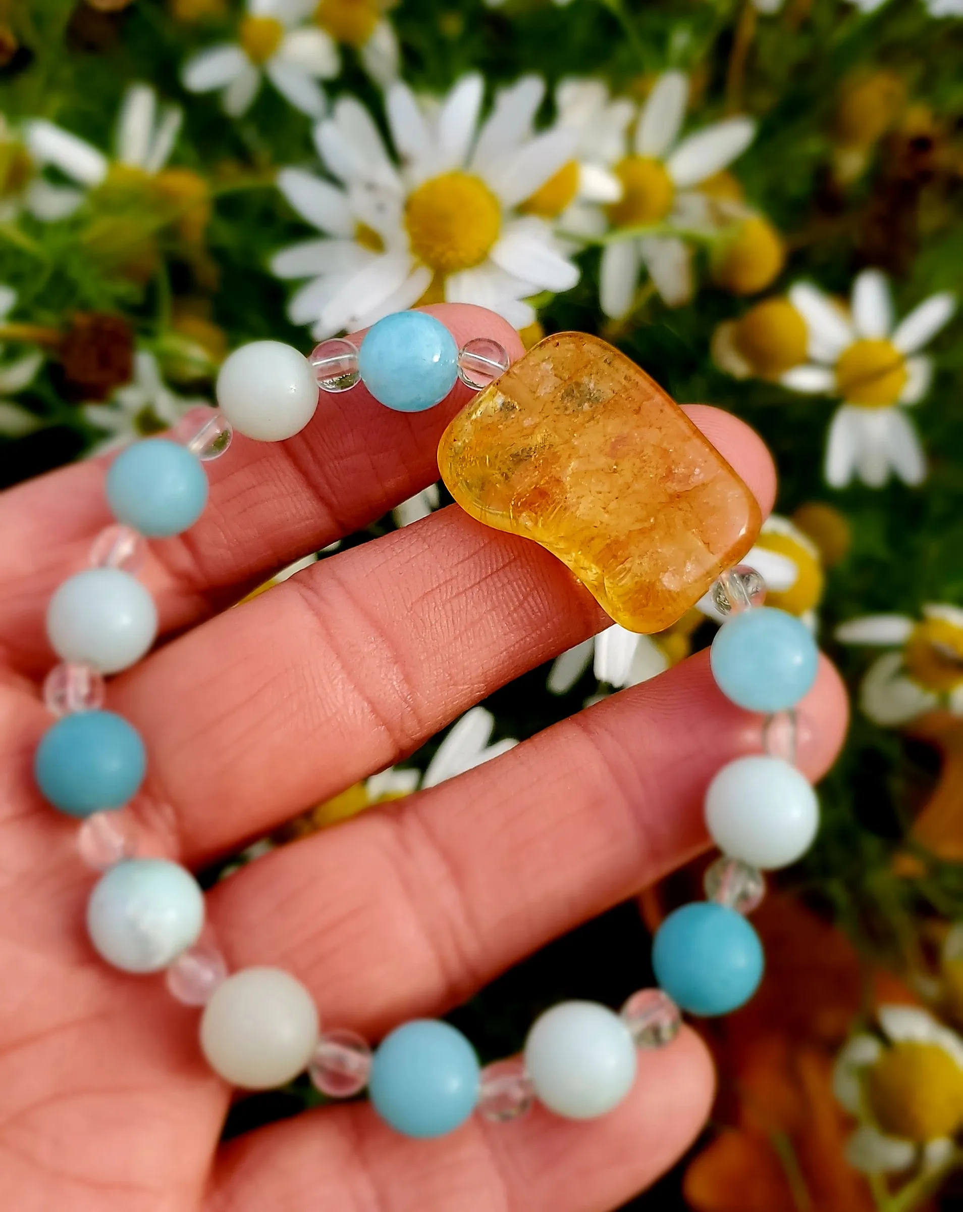 Image numéro 5 du carousel