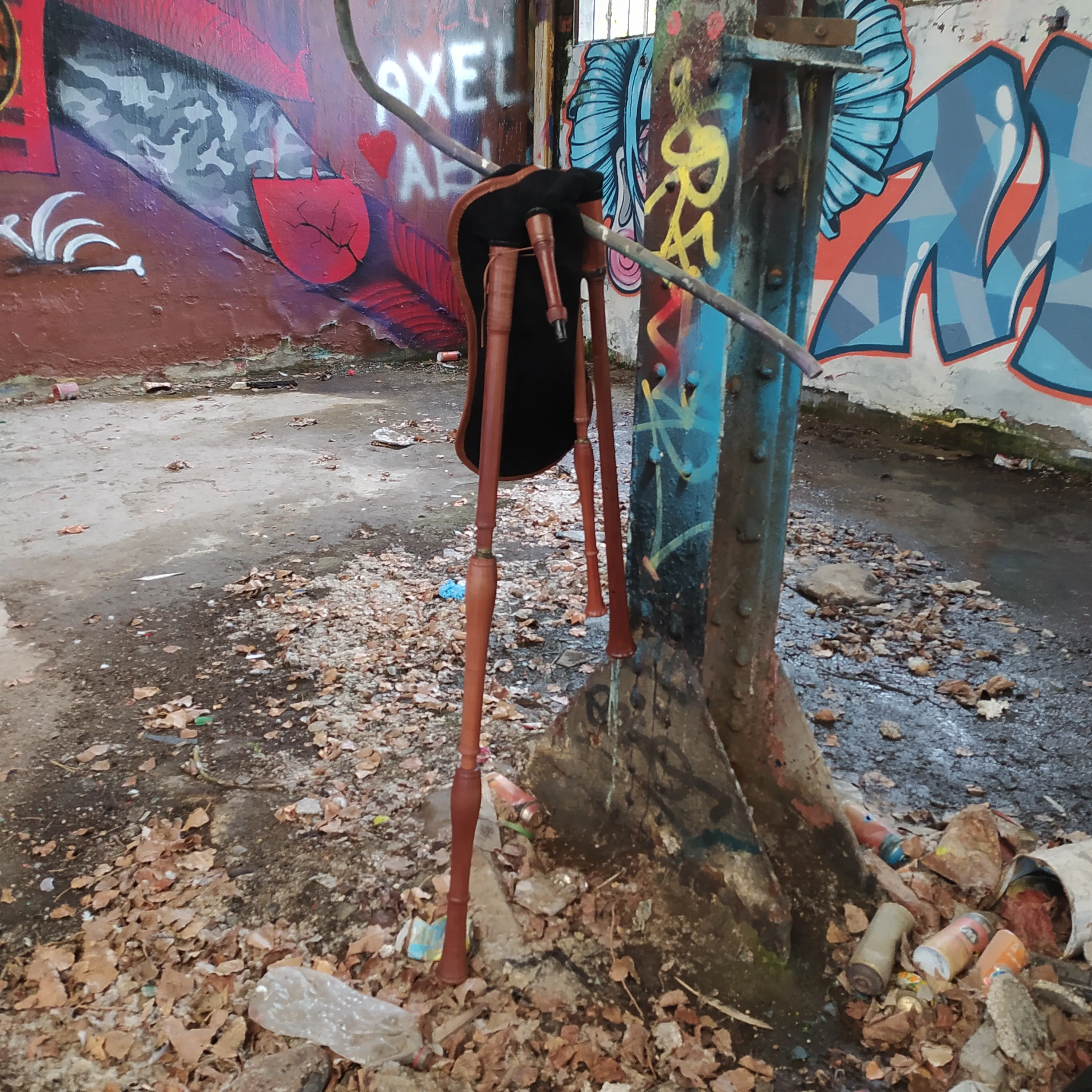 Image numéro 3 du carousel