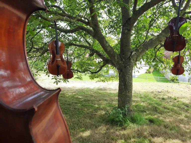 Image numéro 3 du carousel