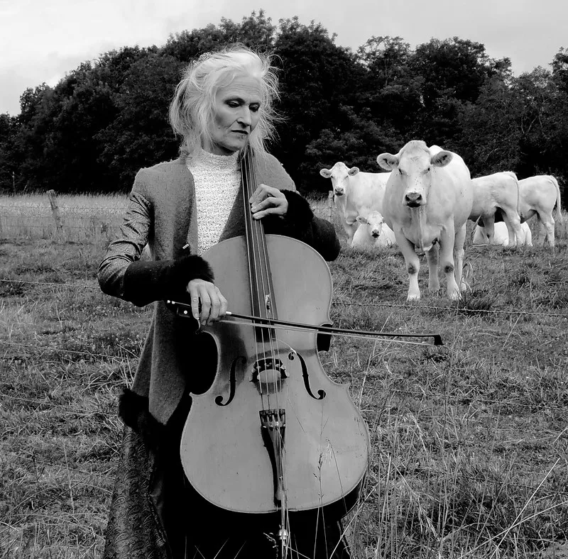 Image numéro 3 du carousel