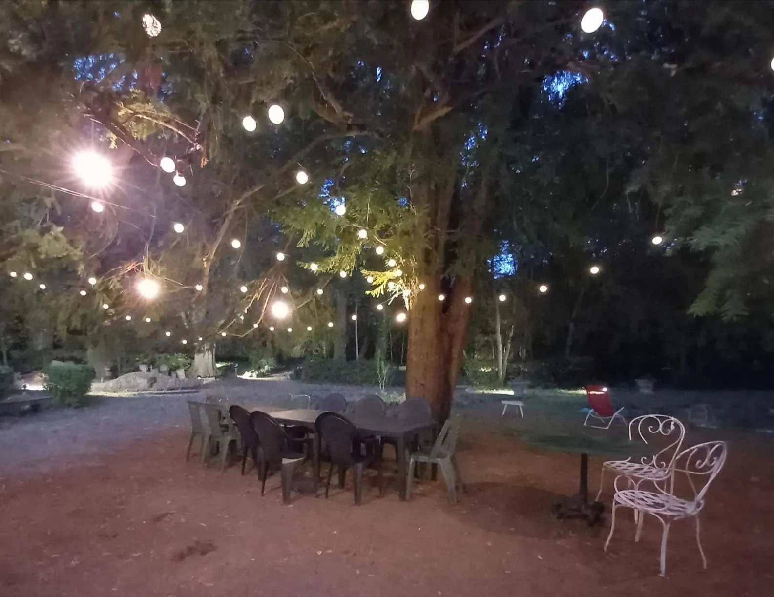 Image numéro 1 du carousel