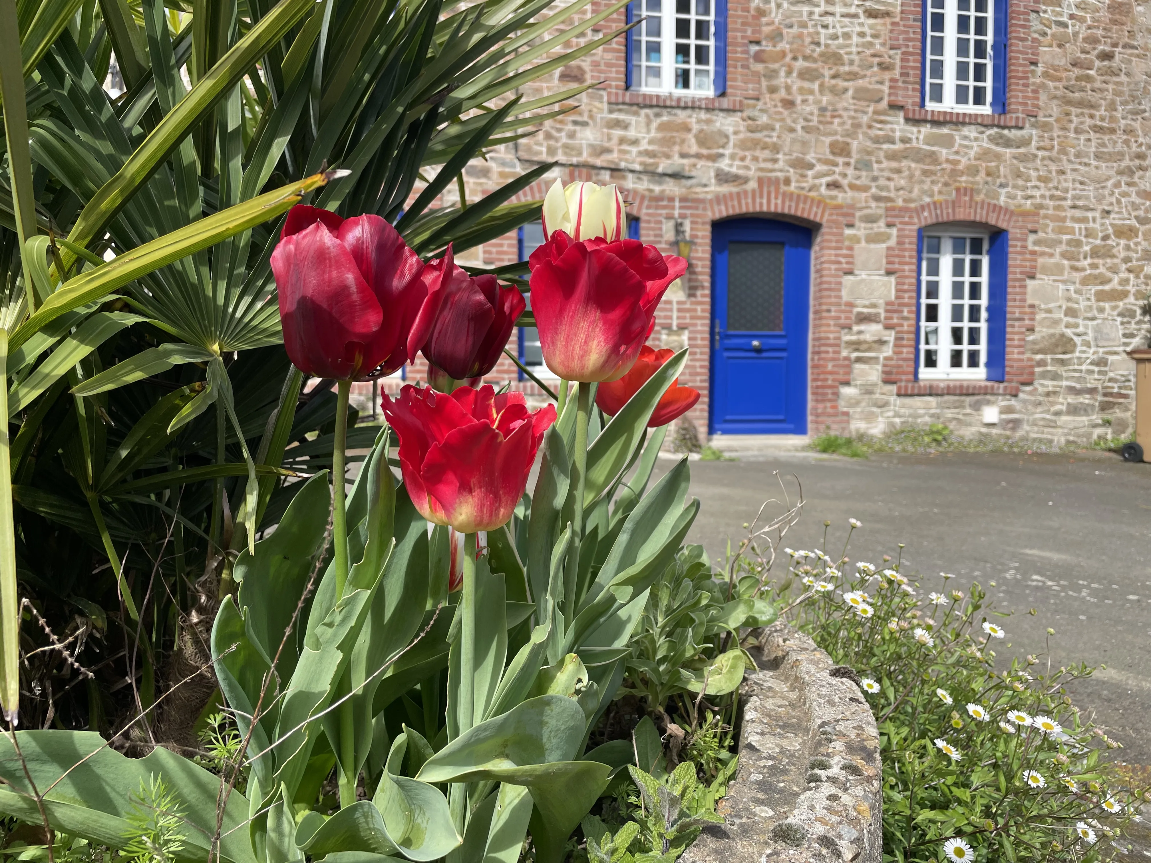 Image numéro 5 du carousel