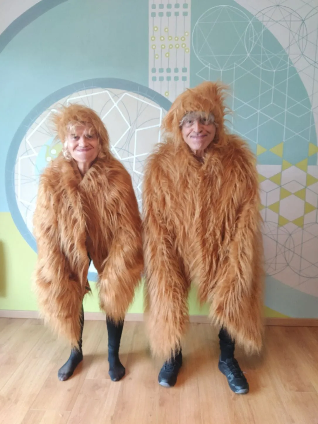 Image numéro 2 du carousel