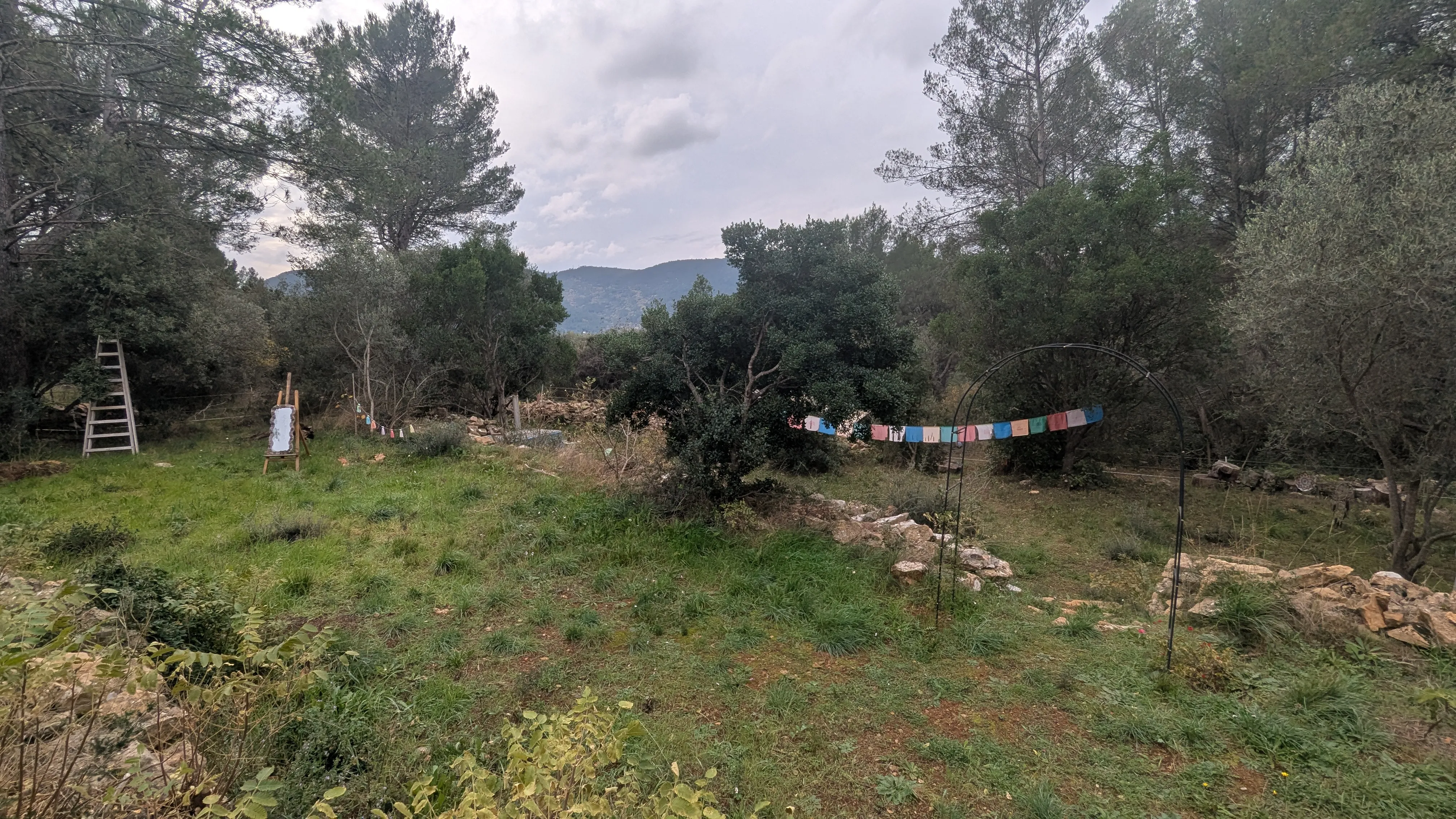 Image numéro 2 du carousel