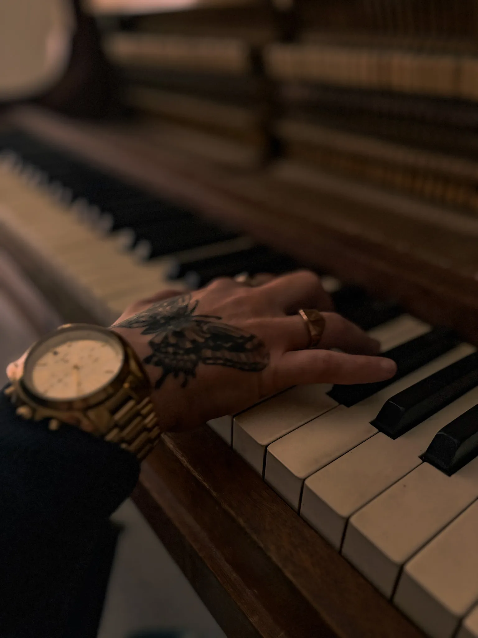 Image numéro 2 du carousel