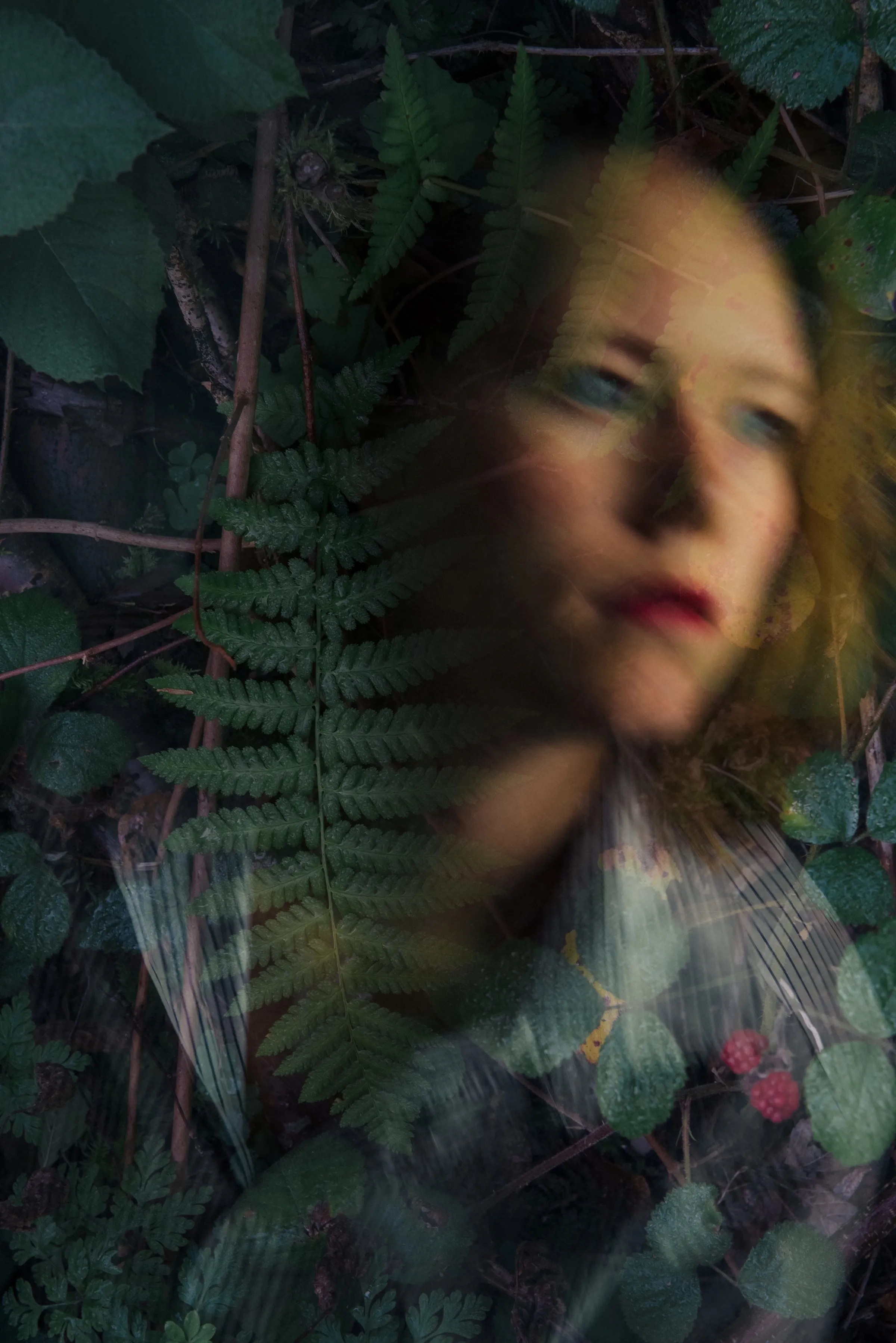 Image numéro 1 du carousel