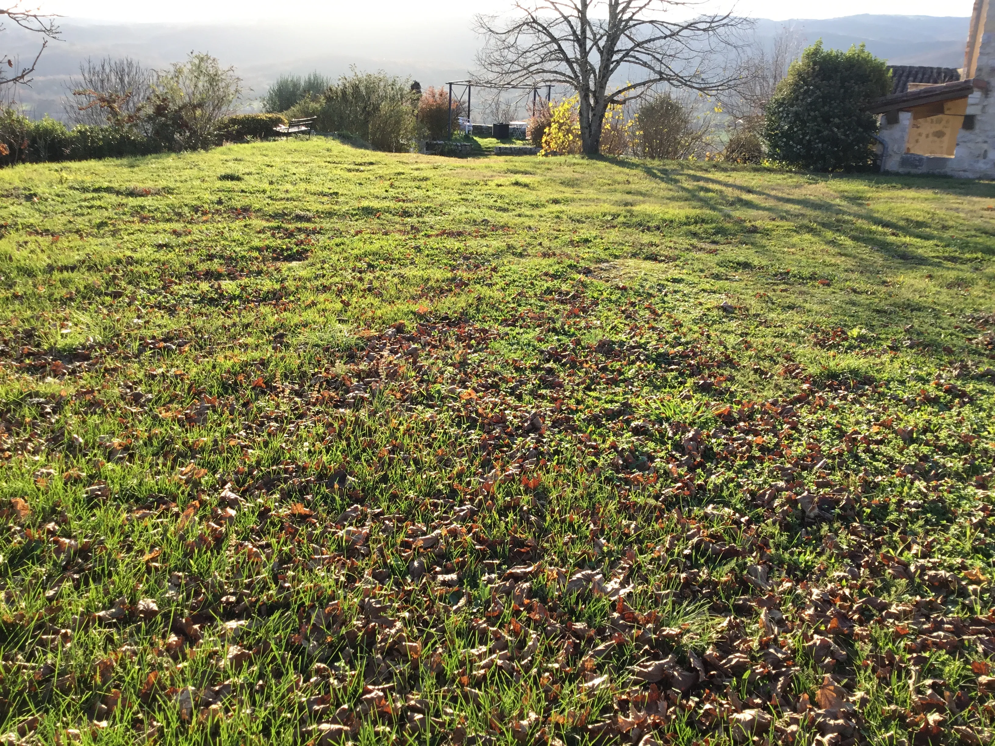 Image numéro 1 du carousel