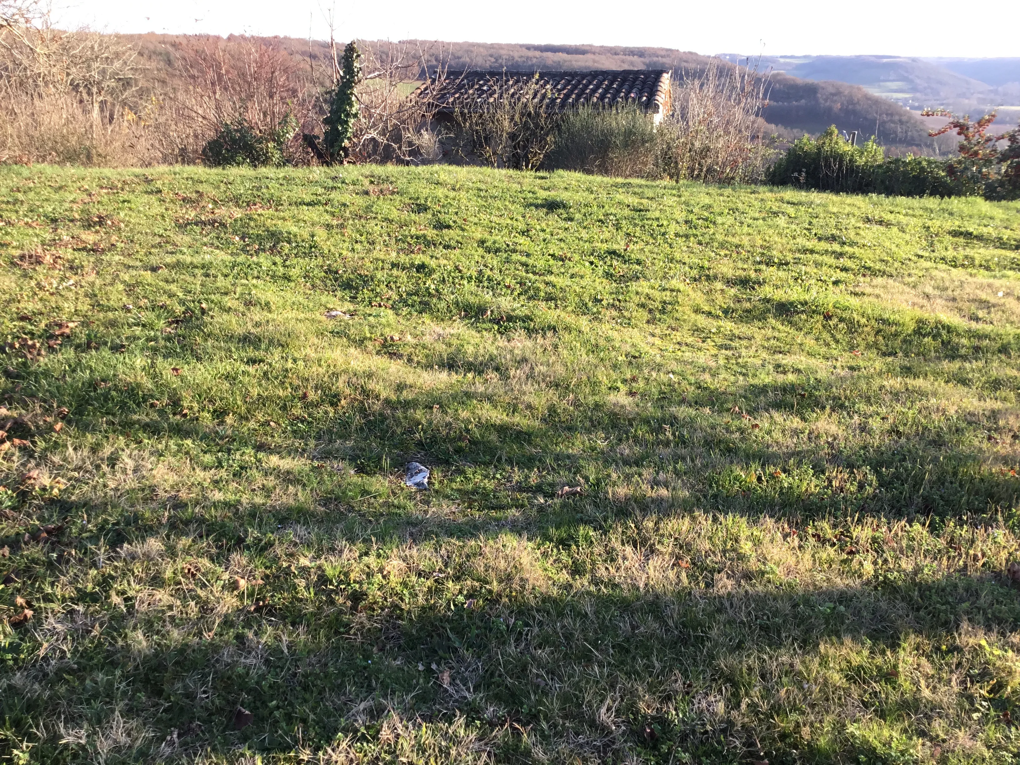 Image numéro 2 du carousel