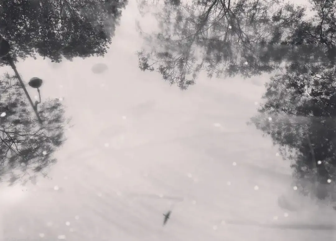 Image numéro 1 du carousel