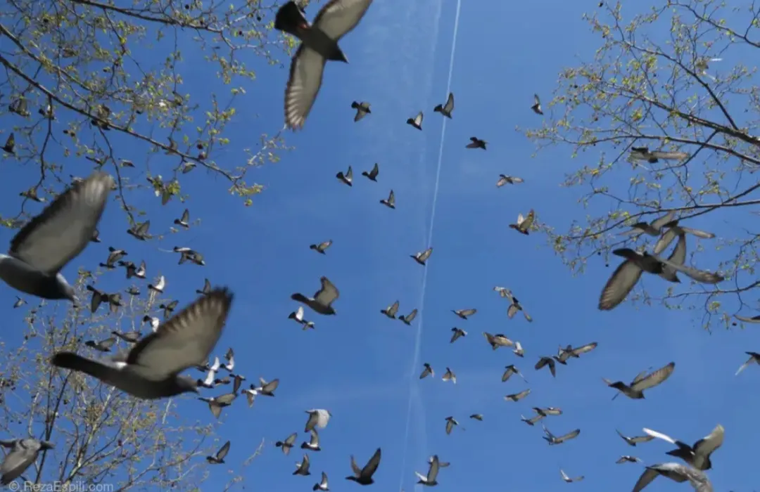 Image numéro 2 du carousel