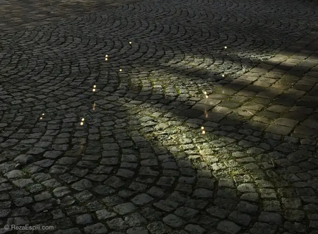 Image numéro 1 du carousel