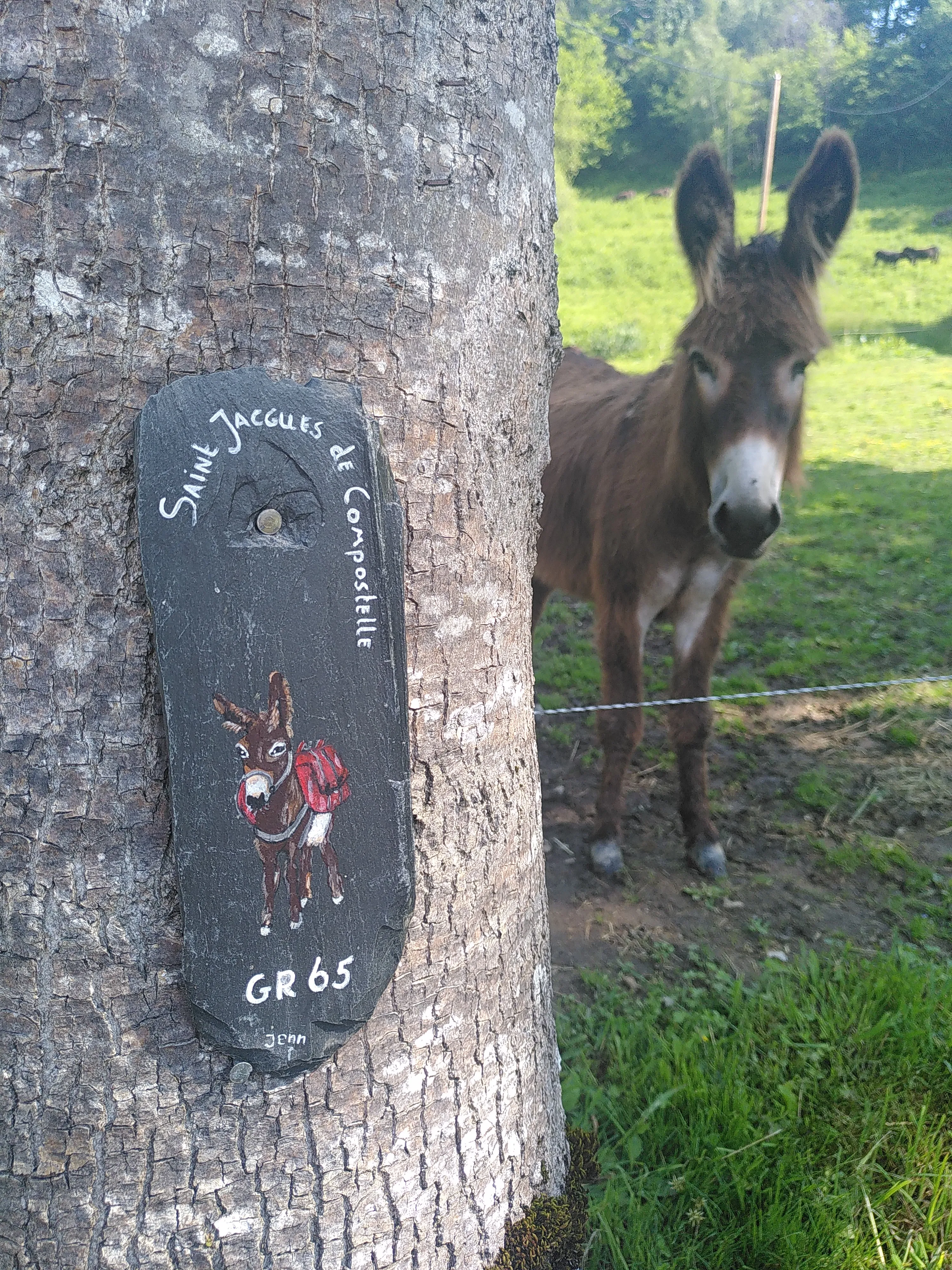 Image numéro 3 du carousel