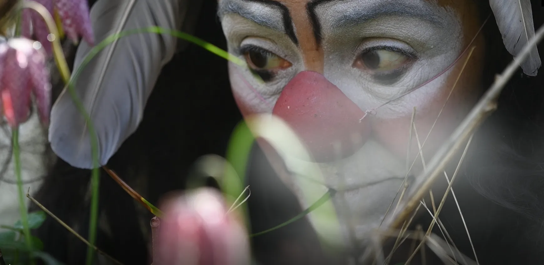 Image numéro 4 du carousel