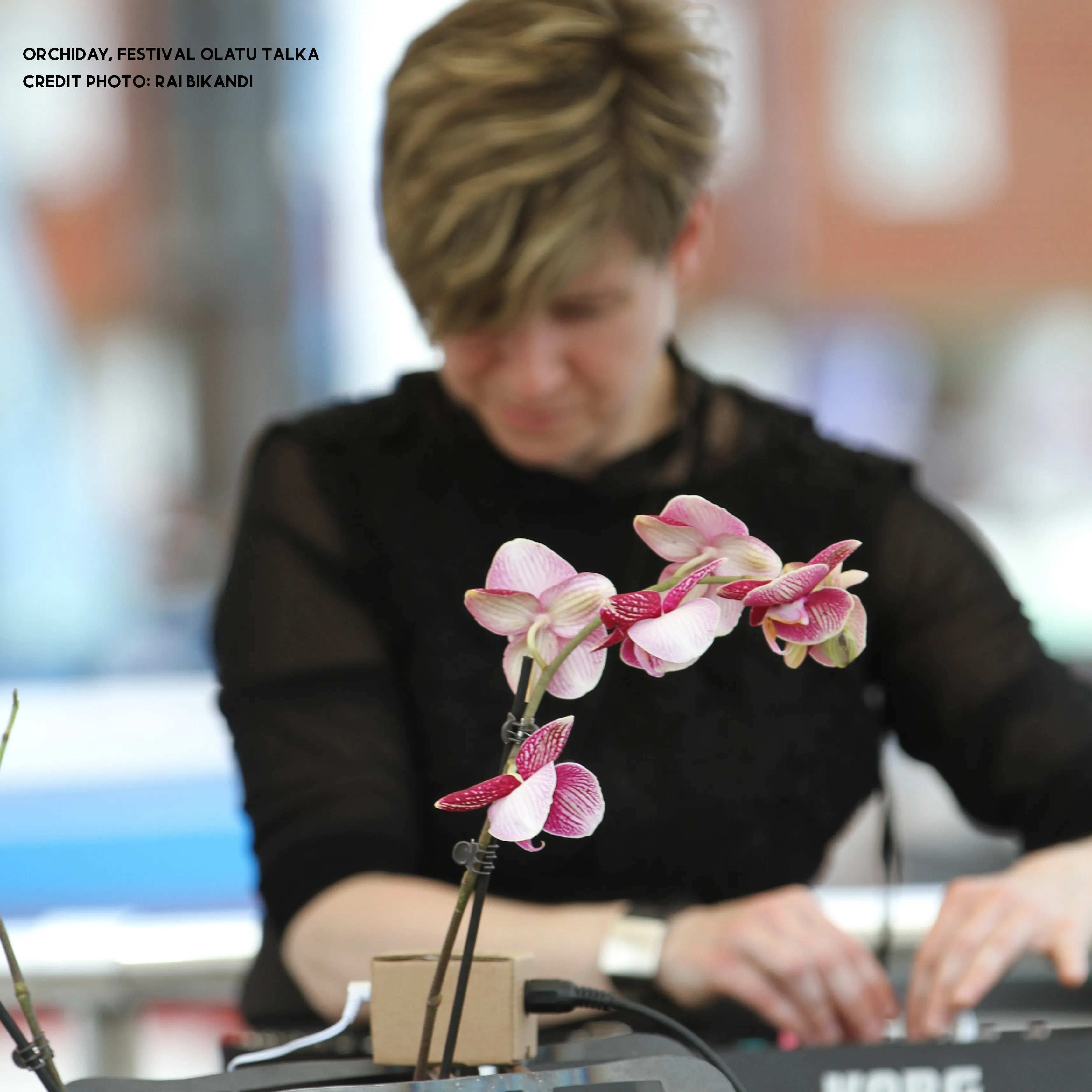 Image numéro 1 du carousel