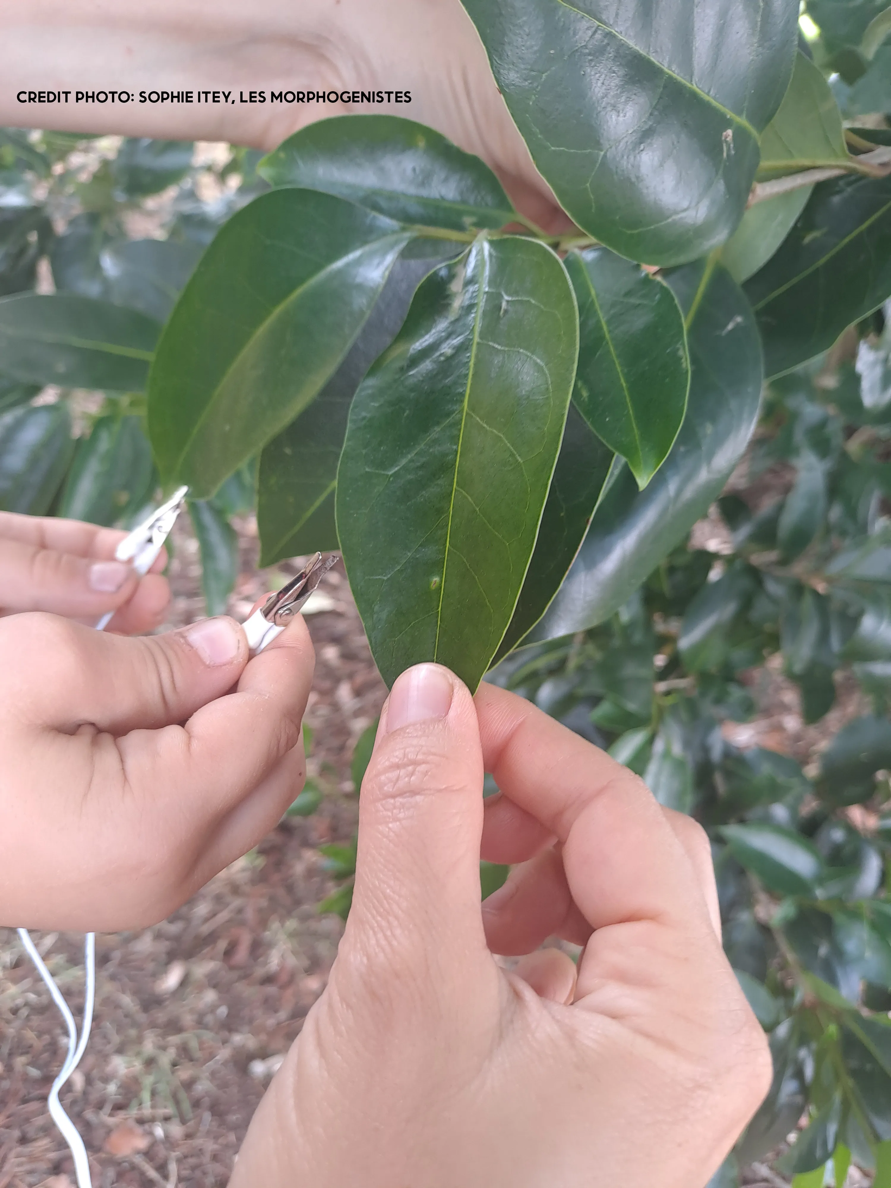 Image numéro 2 du carousel