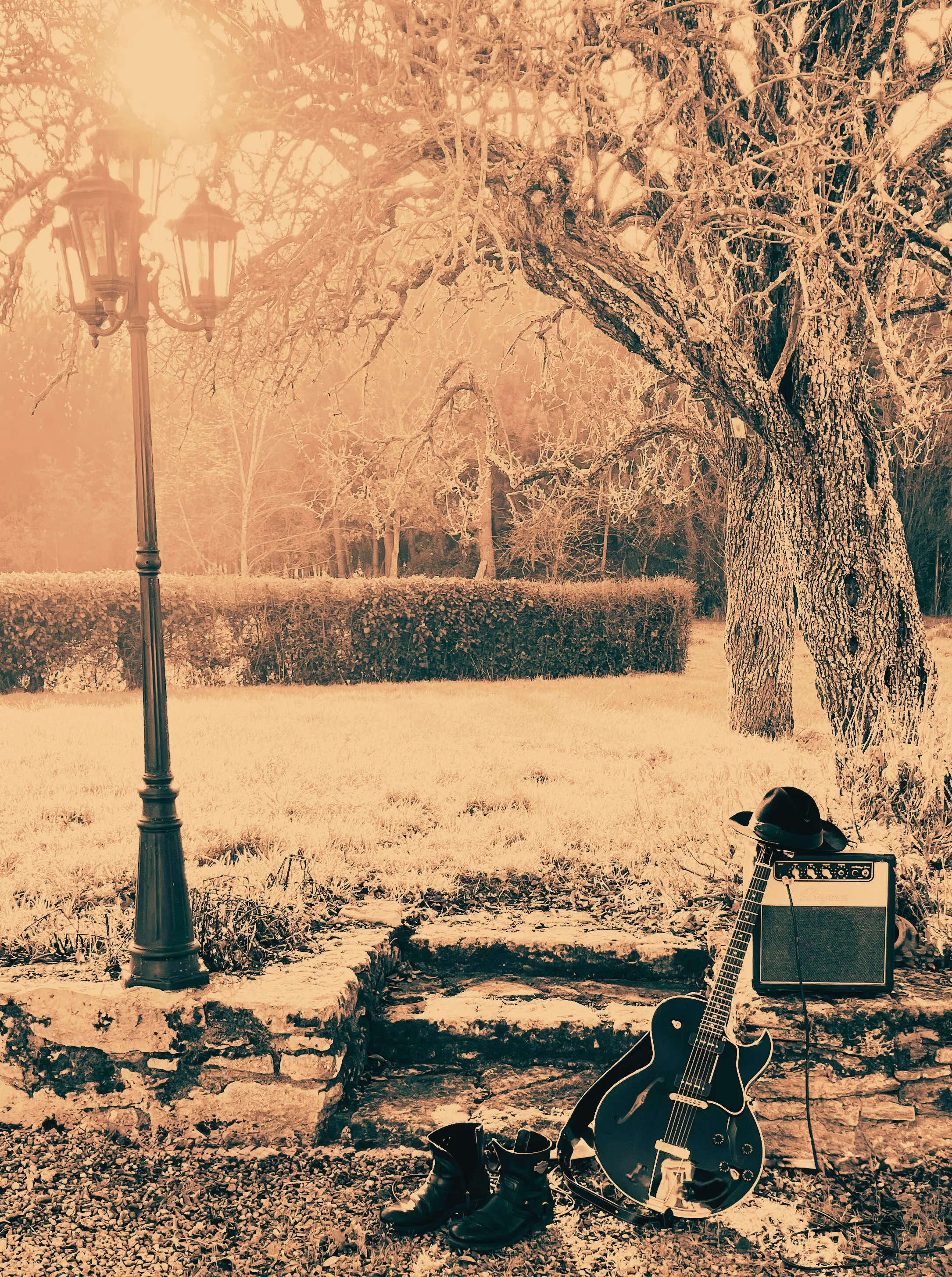 Image numéro 5 du carousel