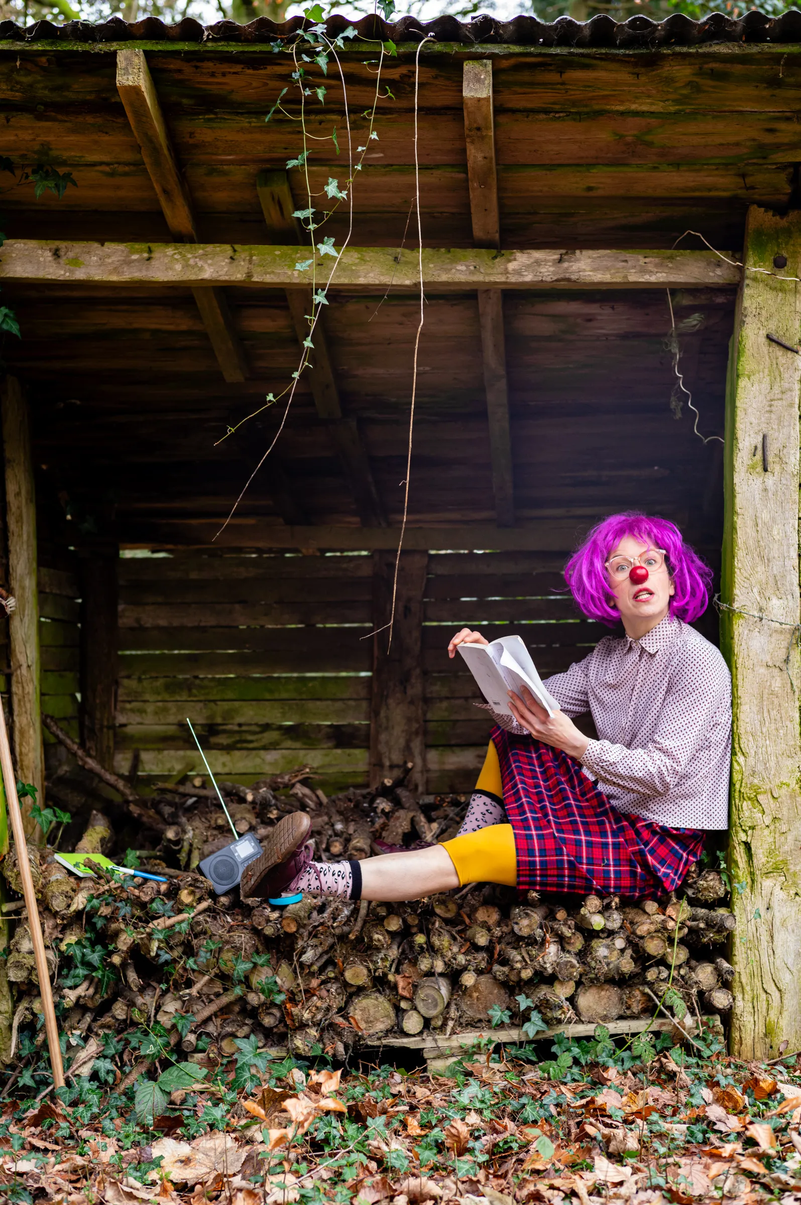 Image numéro 2 du carousel