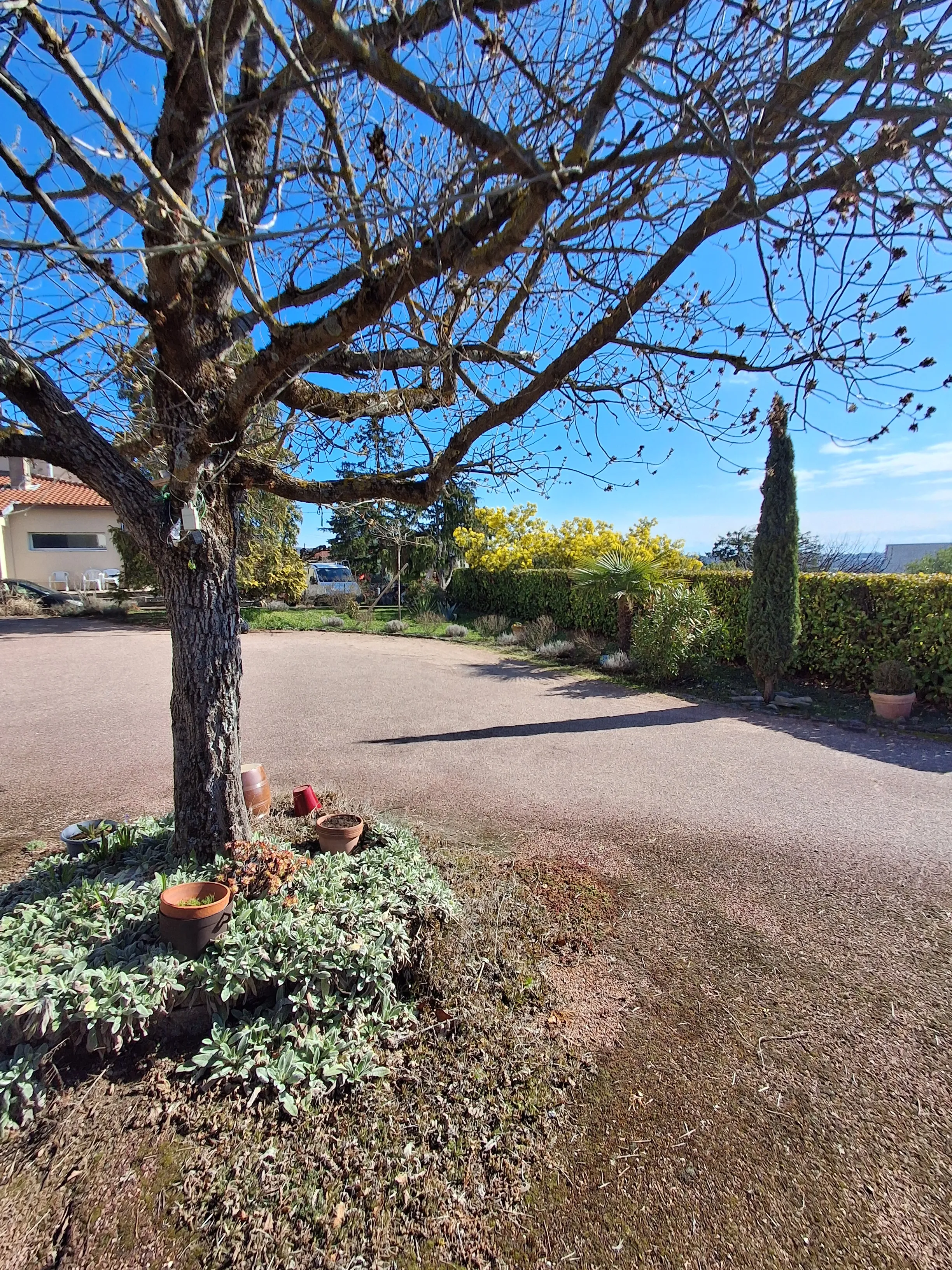 Image numéro 1 du carousel