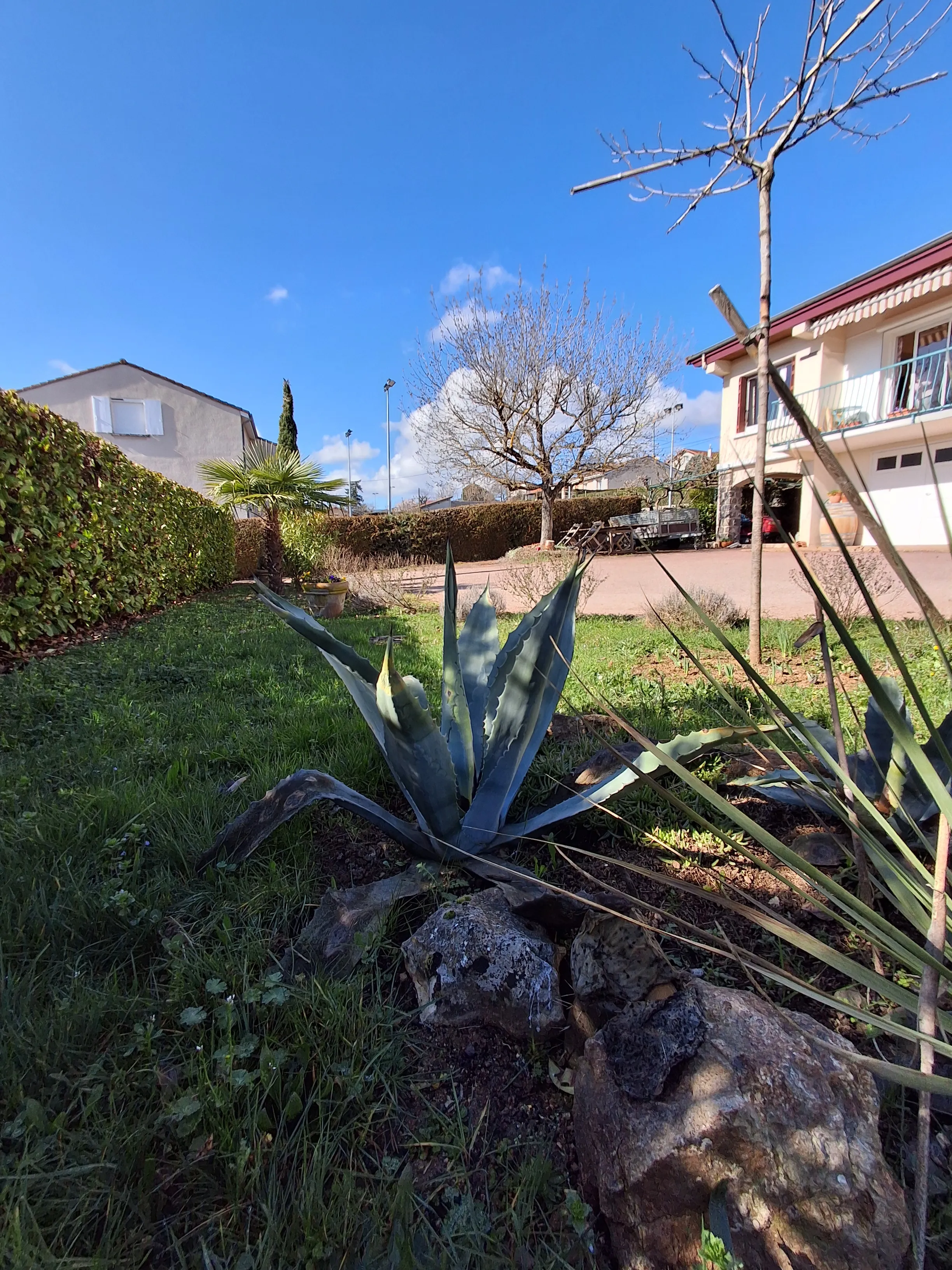 Image numéro 3 du carousel