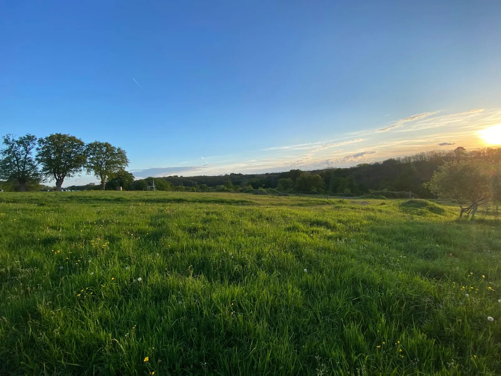 Image numéro 1 du carousel