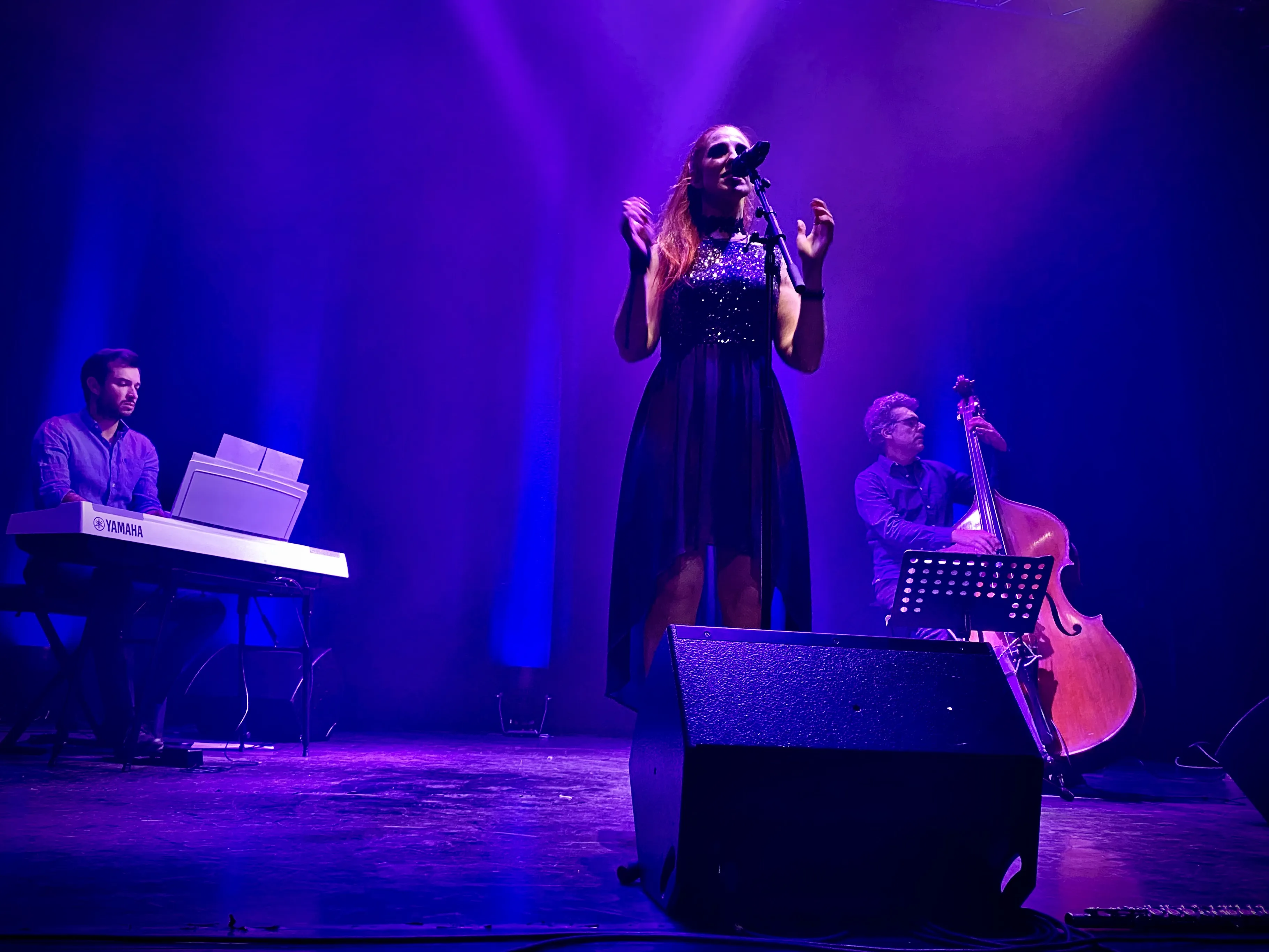 Image numéro 4 du carousel