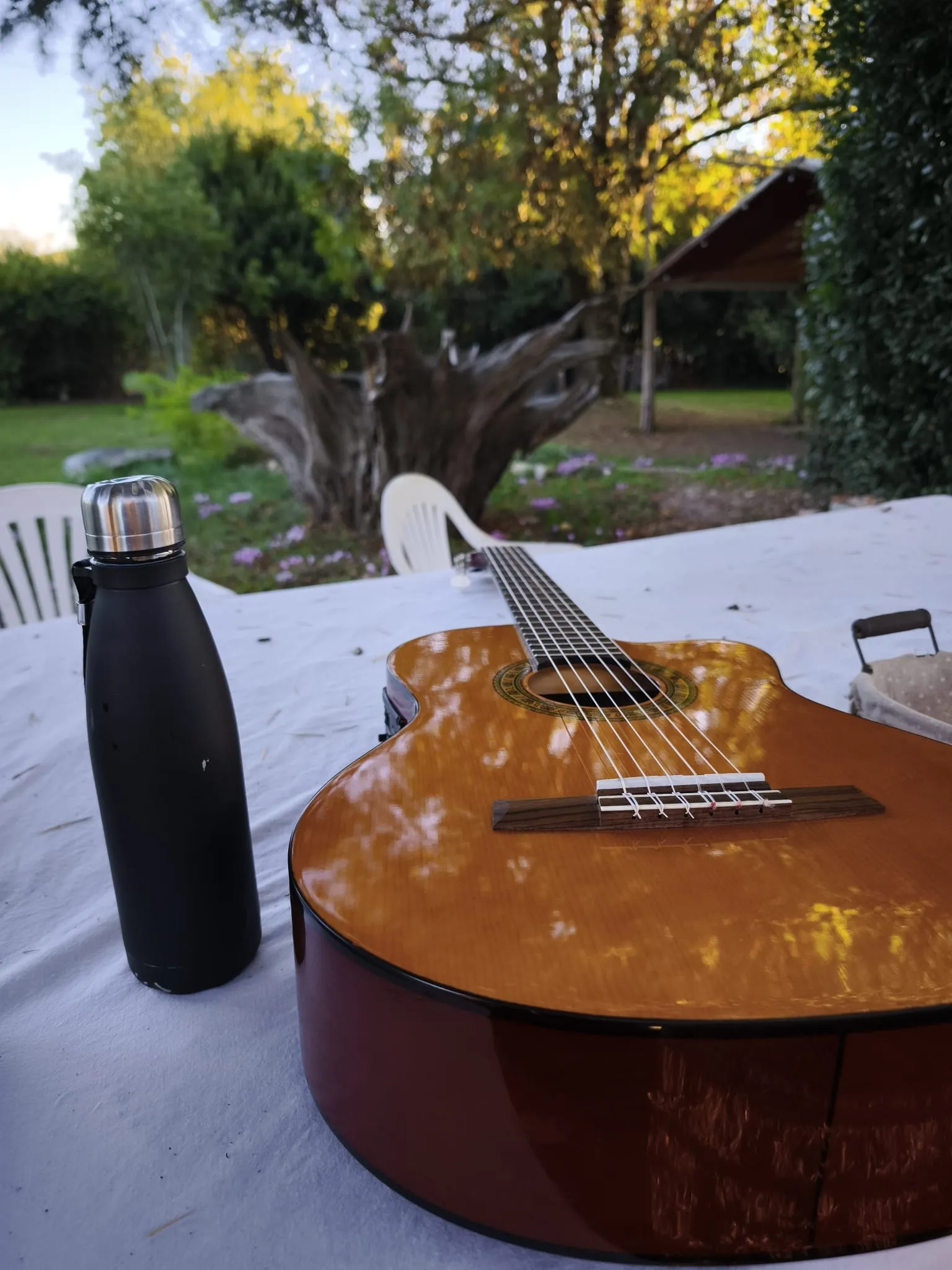 Image numéro 2 du carousel