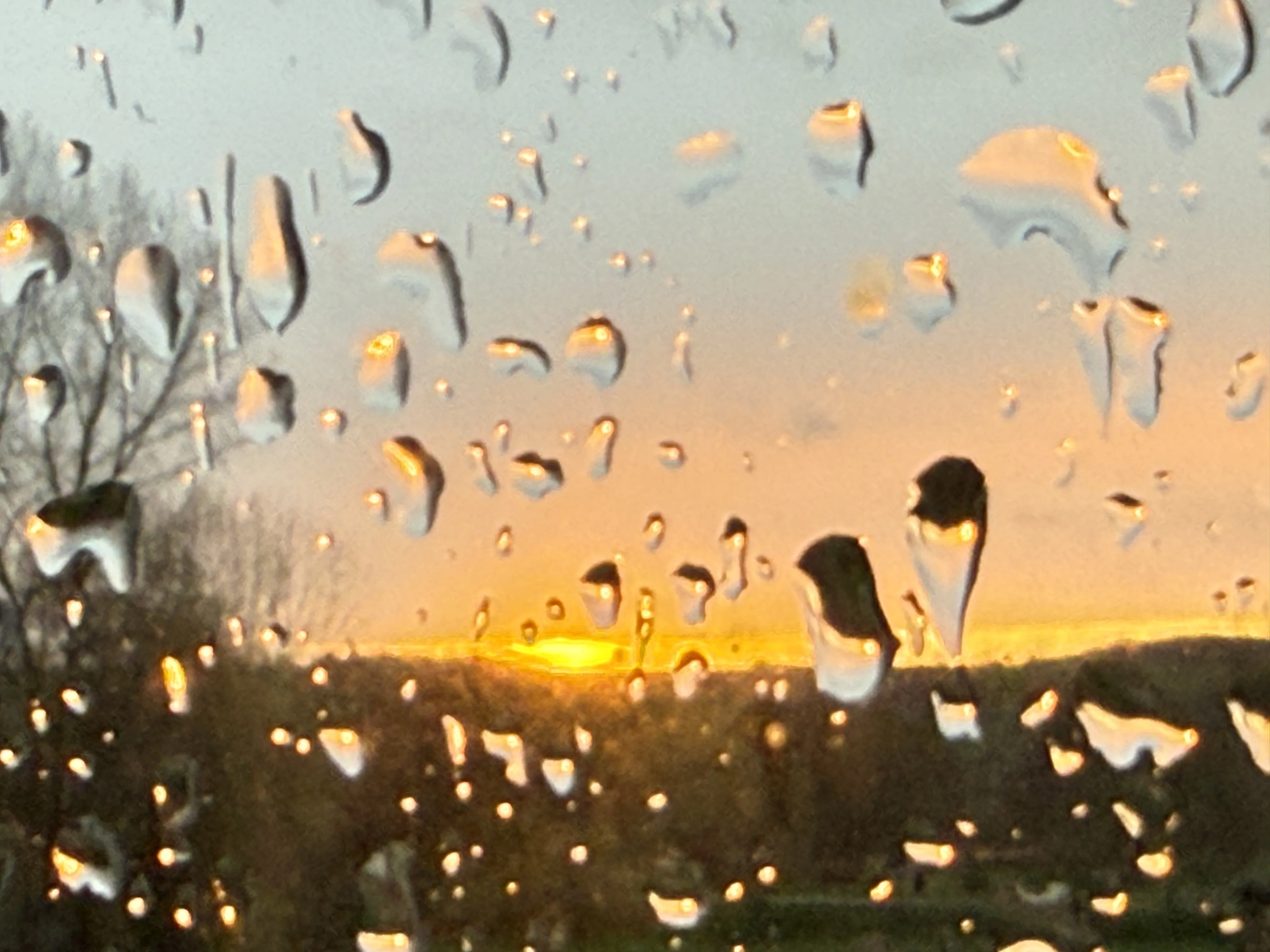 Image numéro 2 du carousel