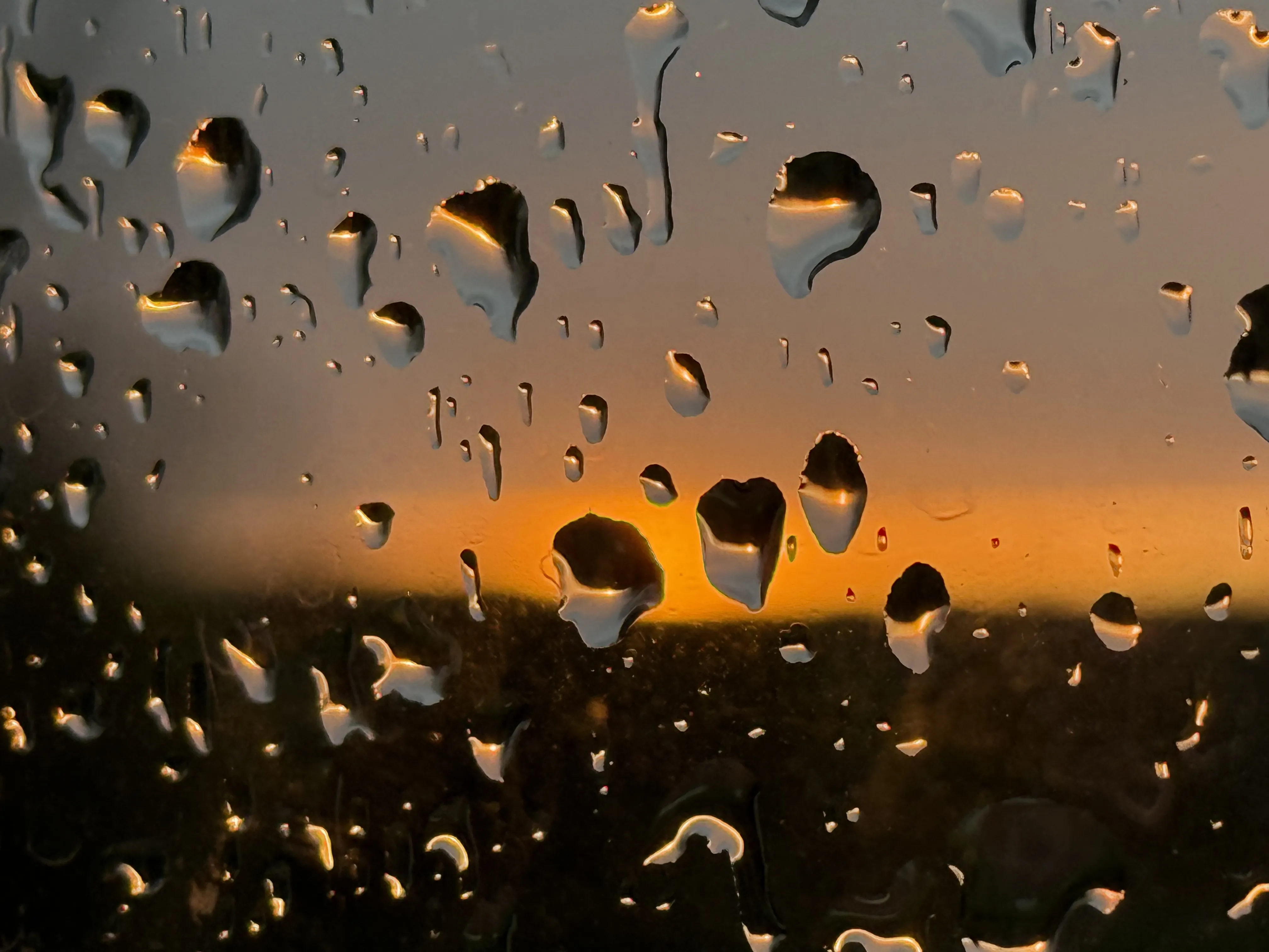 Image numéro 3 du carousel