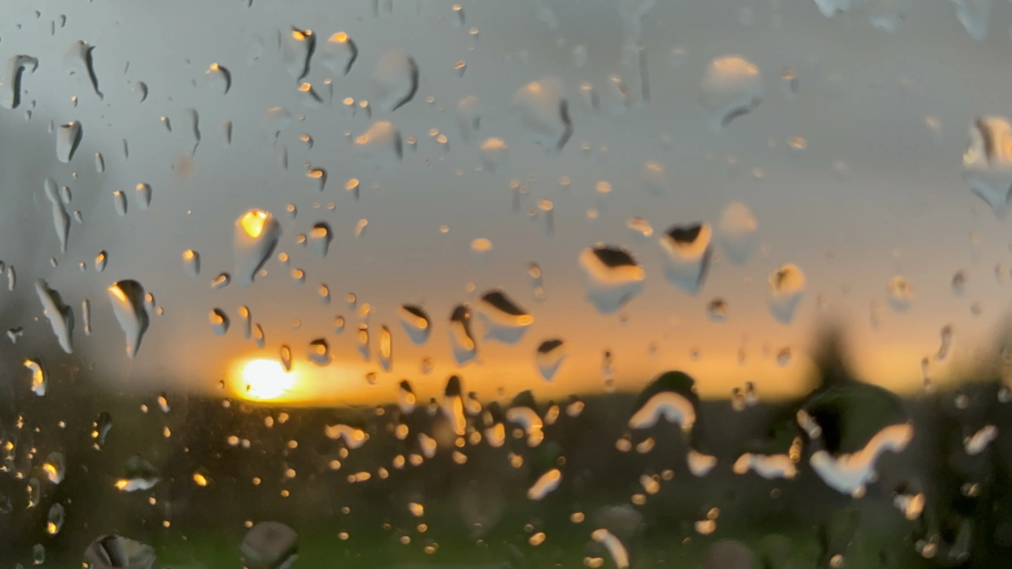 Image numéro 4 du carousel