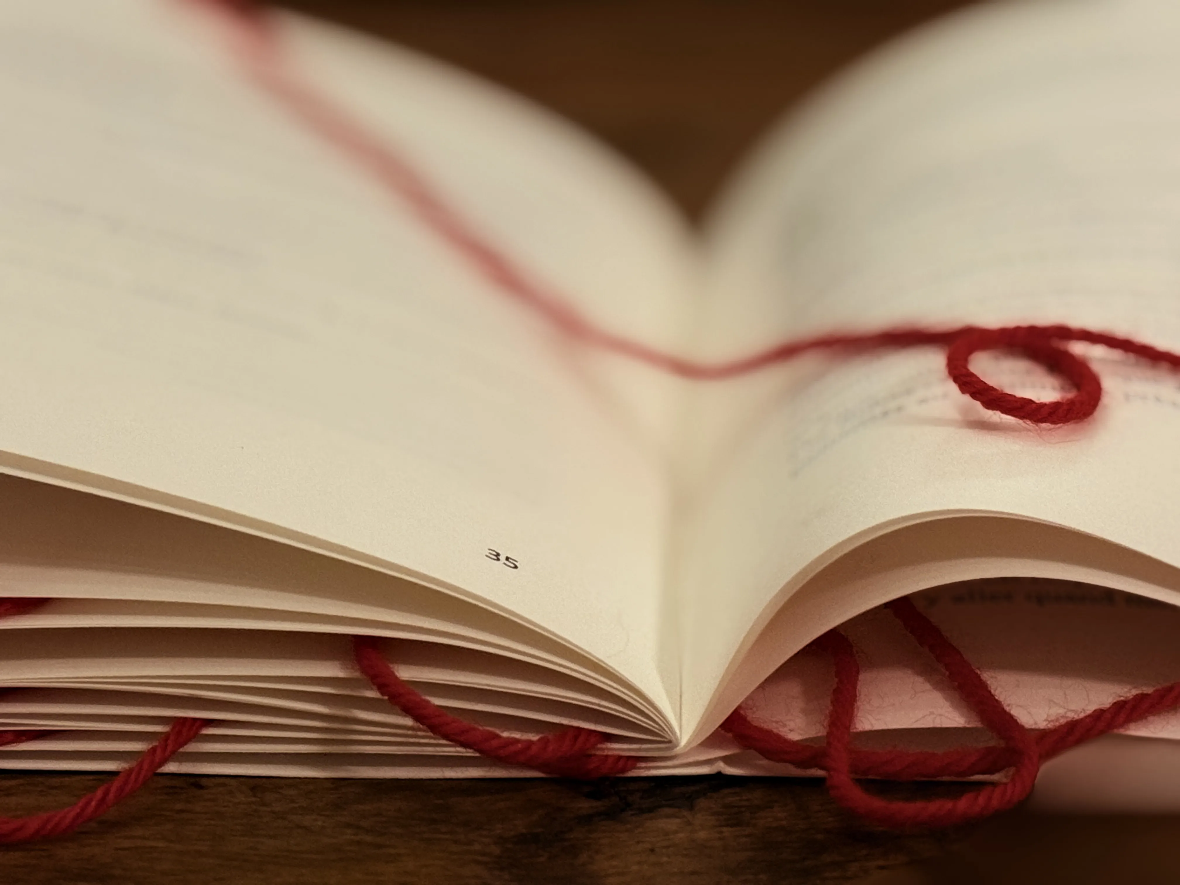 Image numéro 2 du carousel