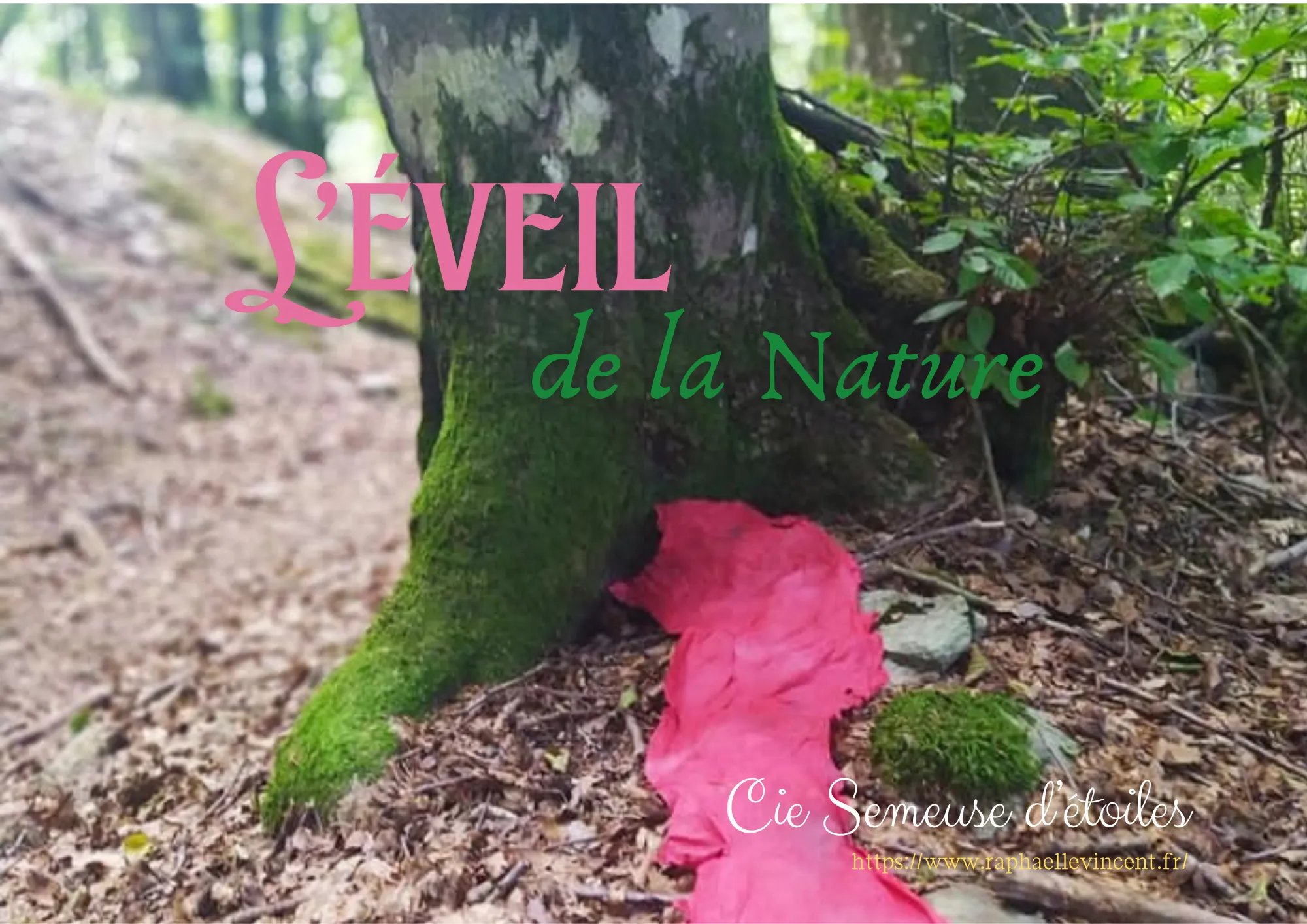 Image numéro 1 du carousel