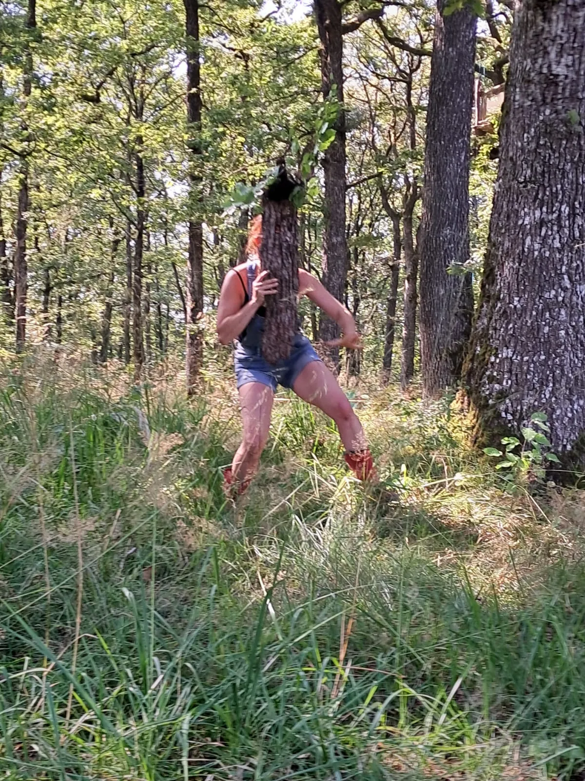 Image numéro 5 du carousel