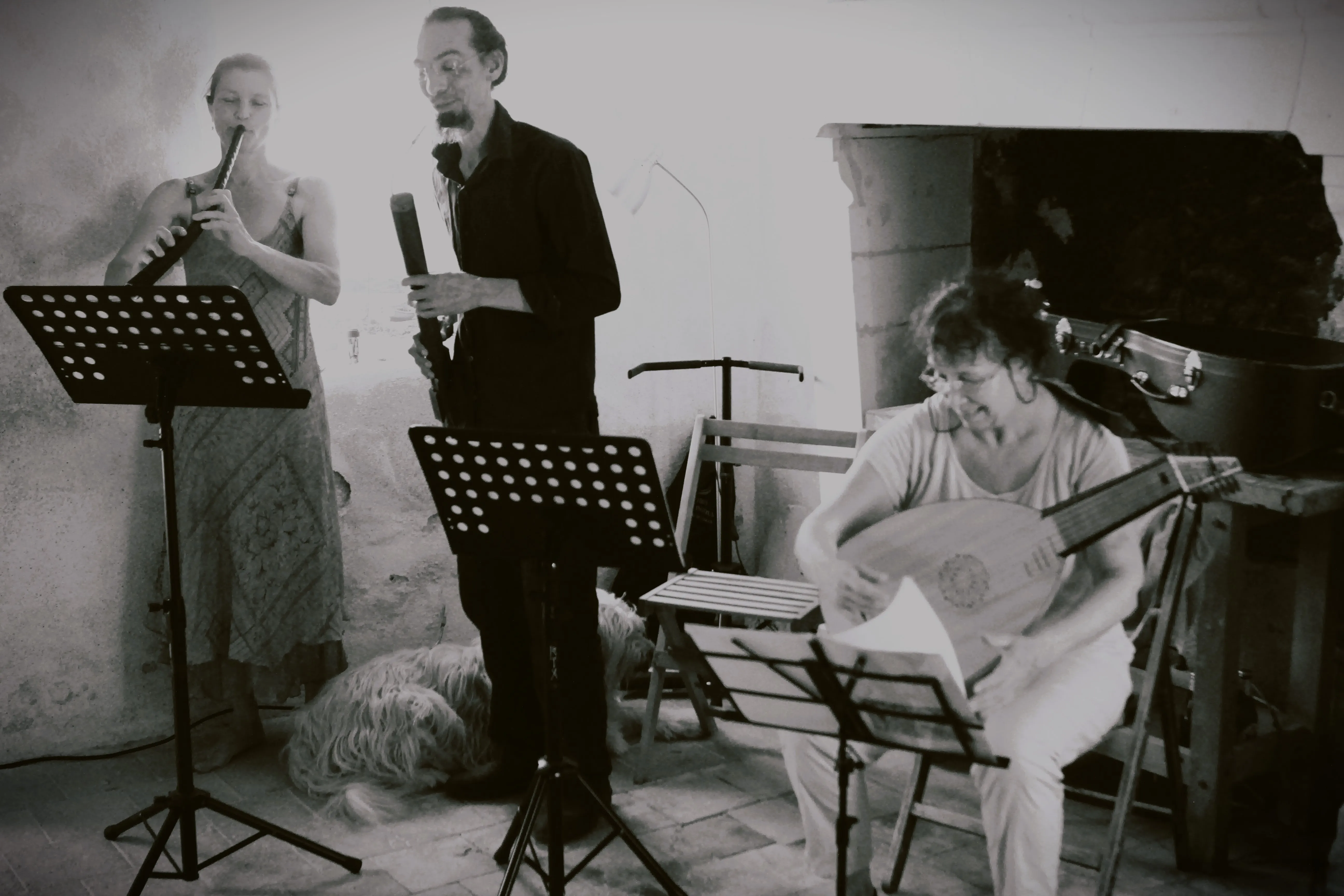 Image numéro 2 du carousel