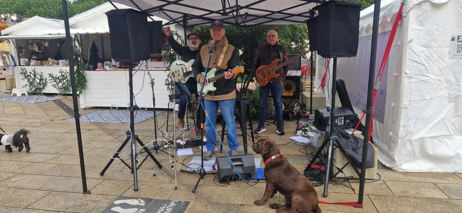 Image numéro 1 du carousel