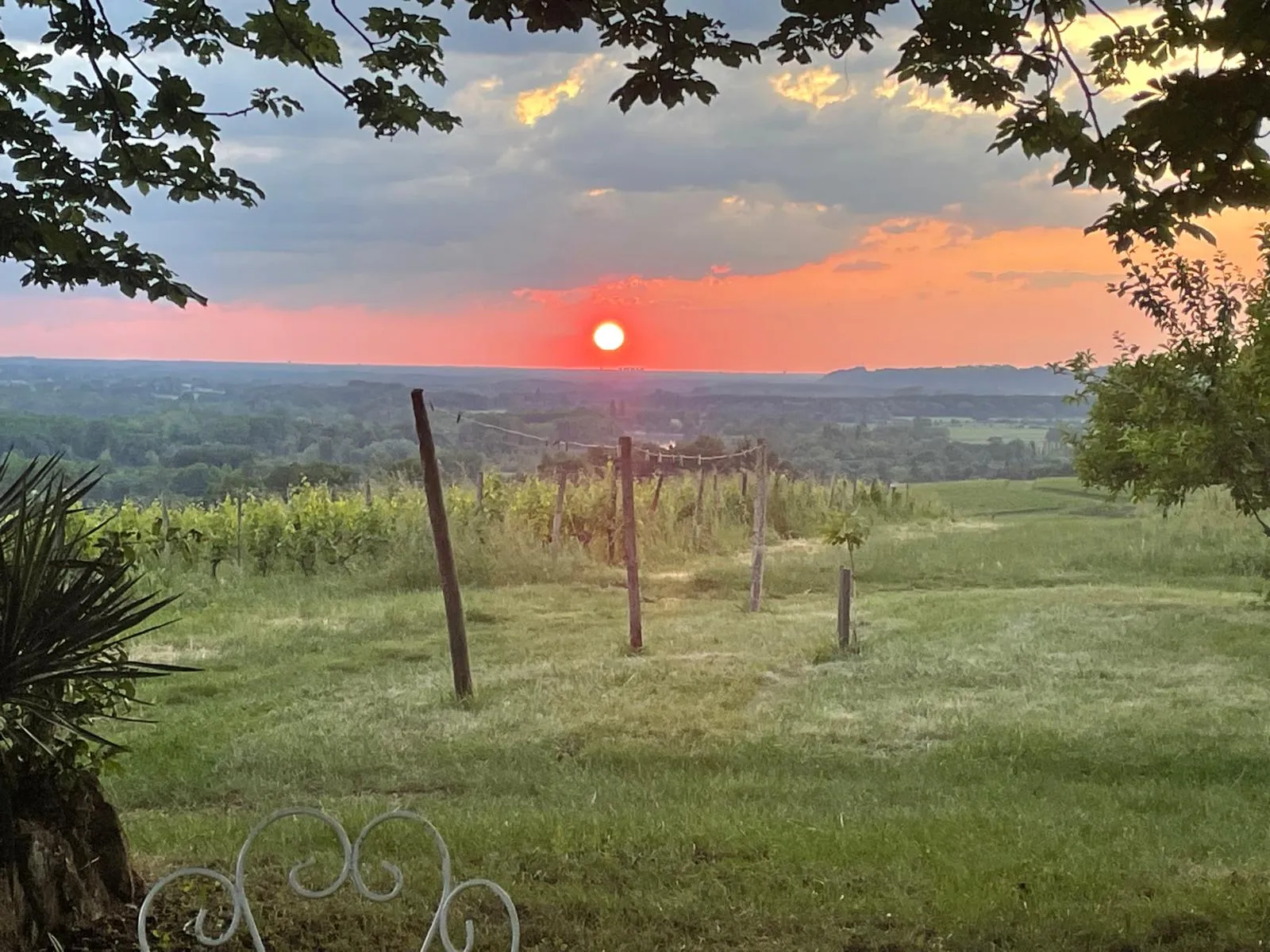 Image numéro 3 du carousel