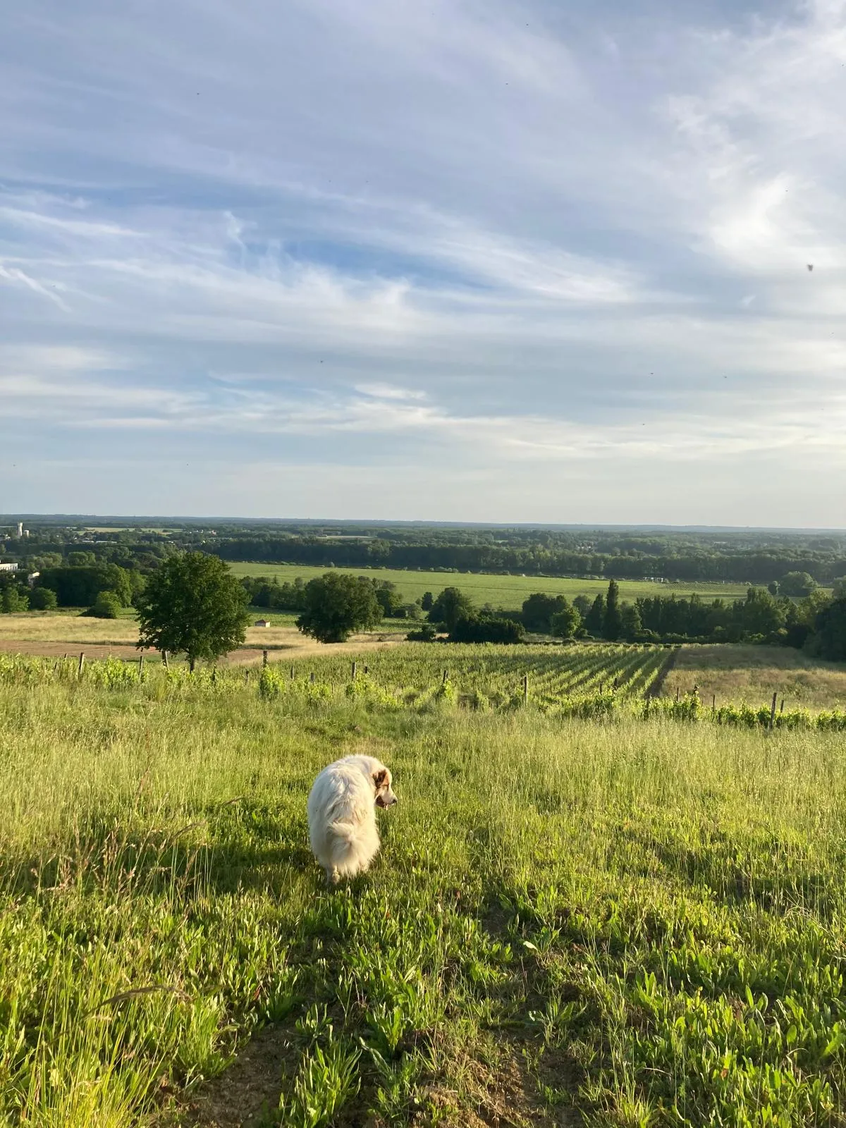 Image numéro 4 du carousel